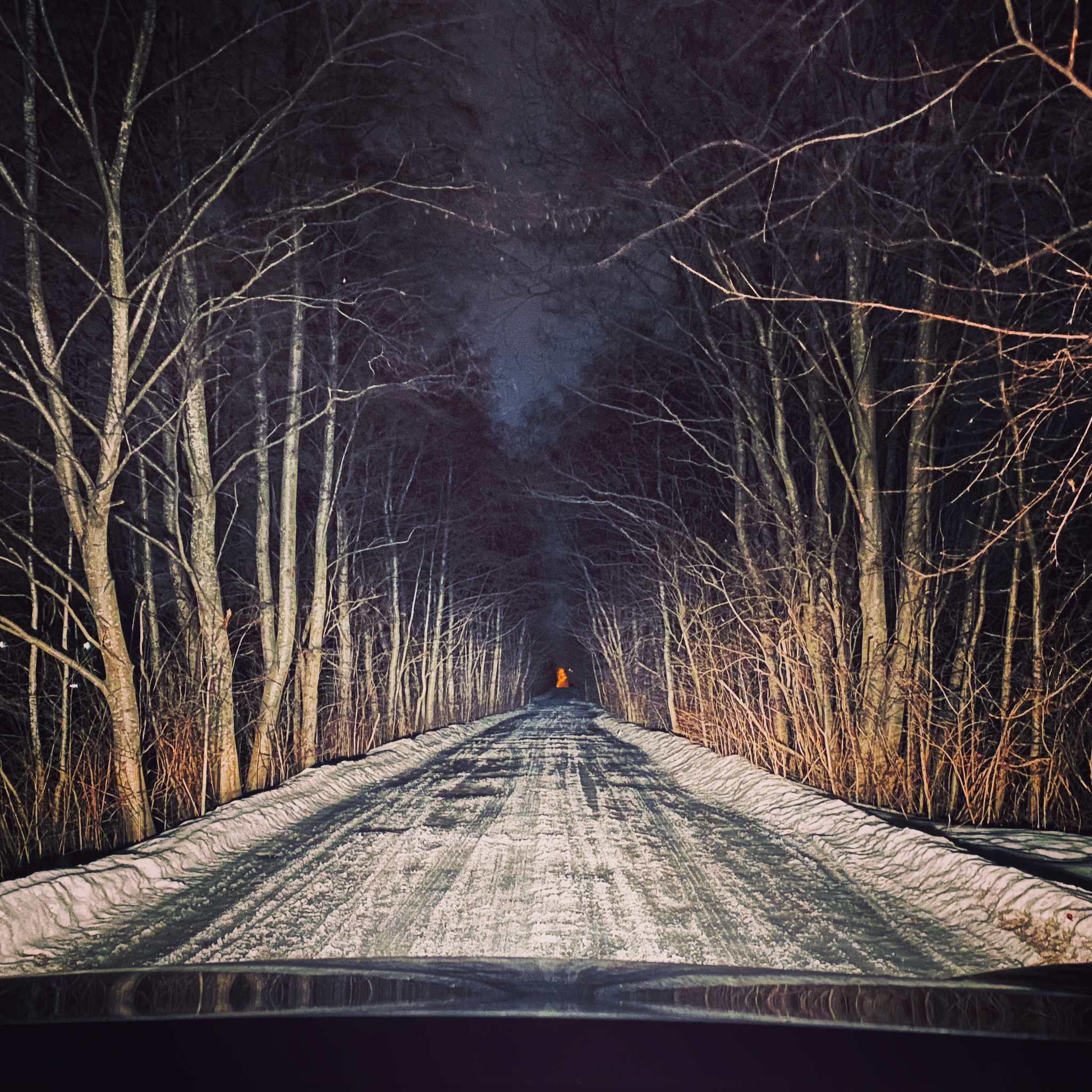 St. Petersburg, Kurortny district, Beloostrov - My, The photo, Night, Leningrad region, Saint Petersburg, Sestroretsk swamp