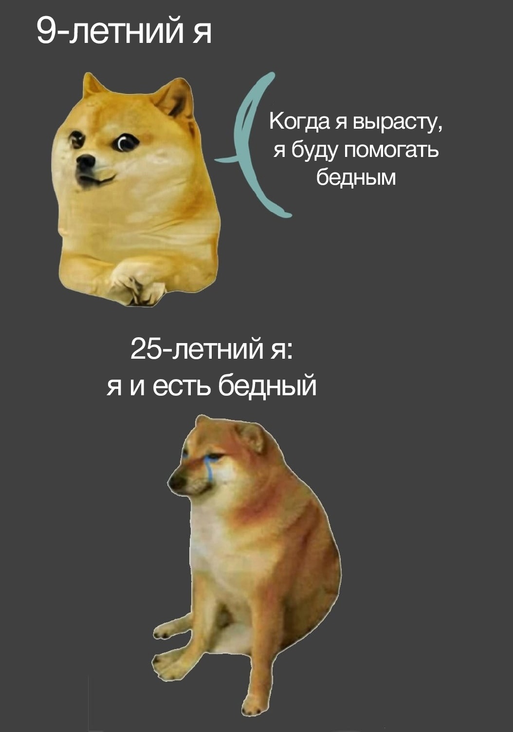 mission Impossible - Picture with text, Memes, Doge, Poverty, Dream