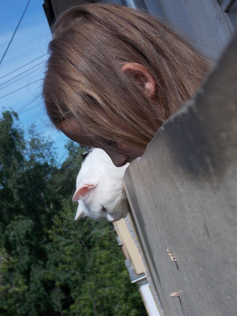 Who's there? - My, cat, Children, Milota