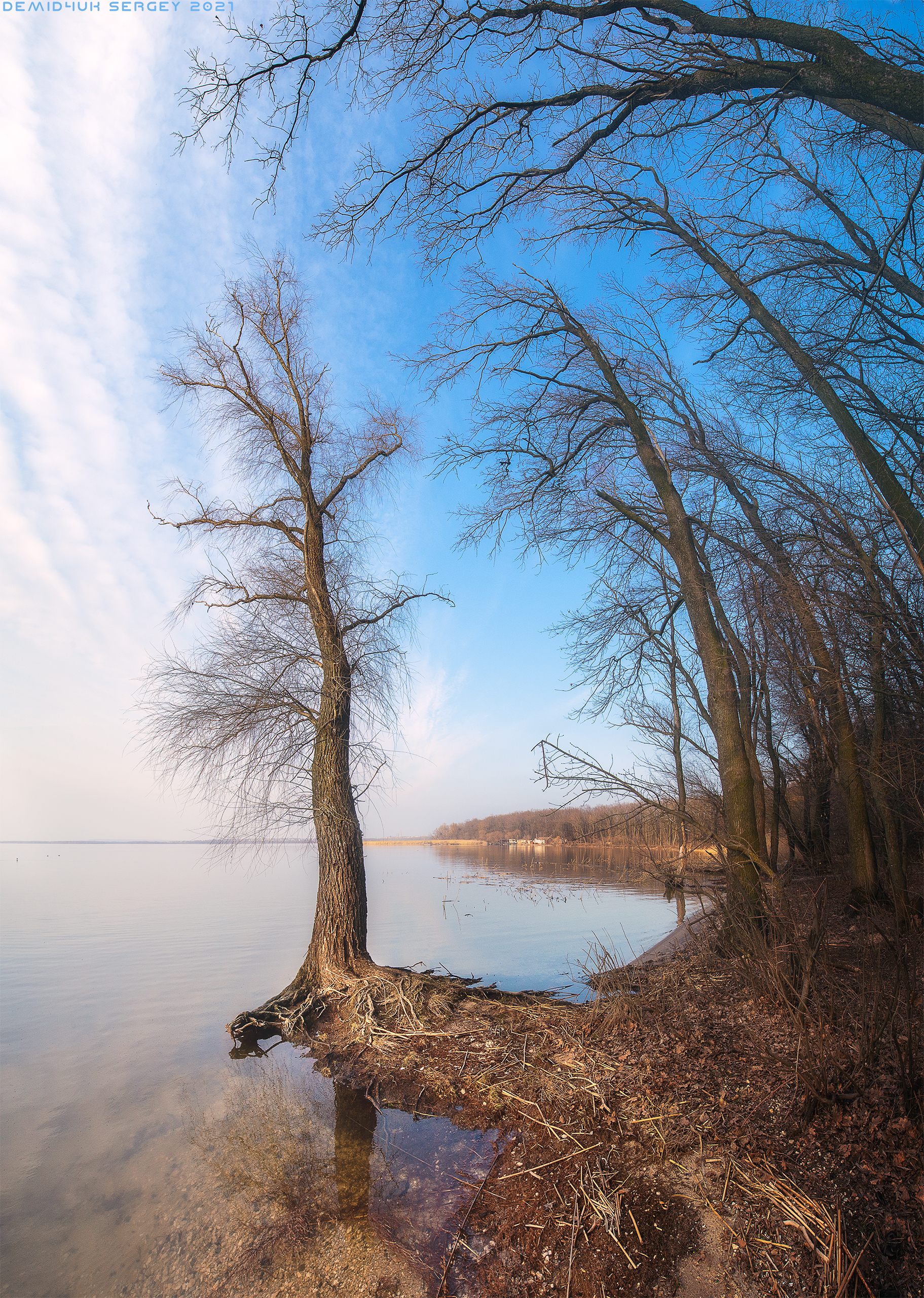 Outcast - My, The photo, Landscape, Nature, Atmosphere, Spring, Forest