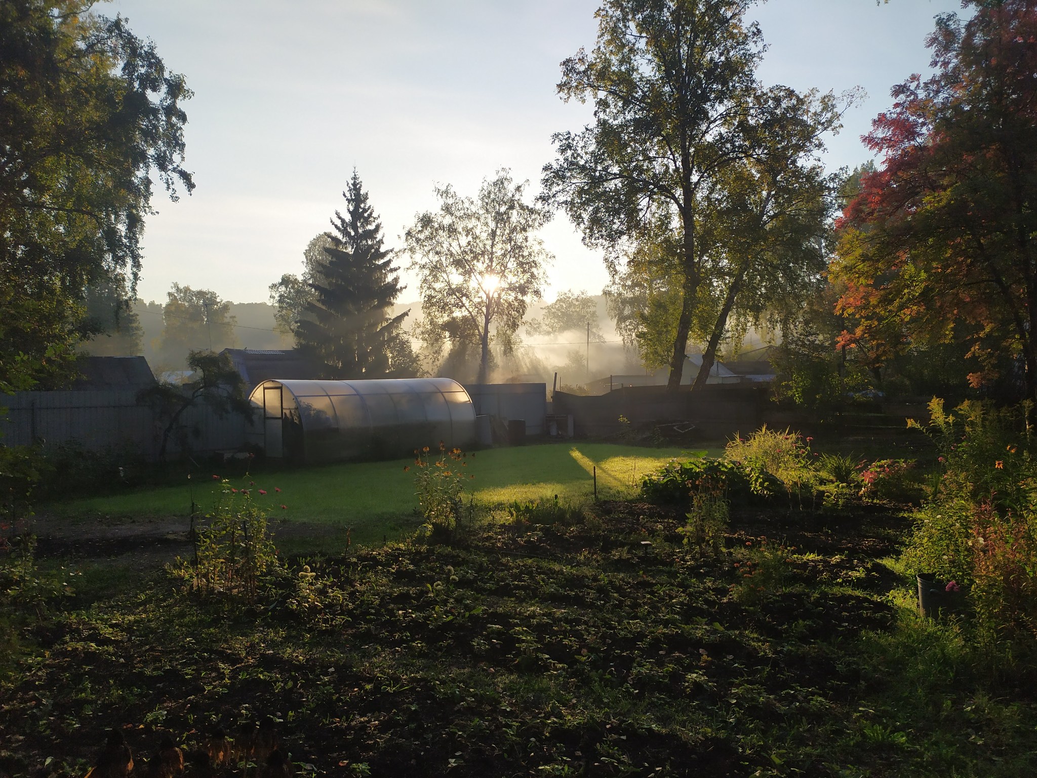 Country romance - My, Dacha, Relaxation, The photo, Meat, Brazier, Beer, Summer, Longpost