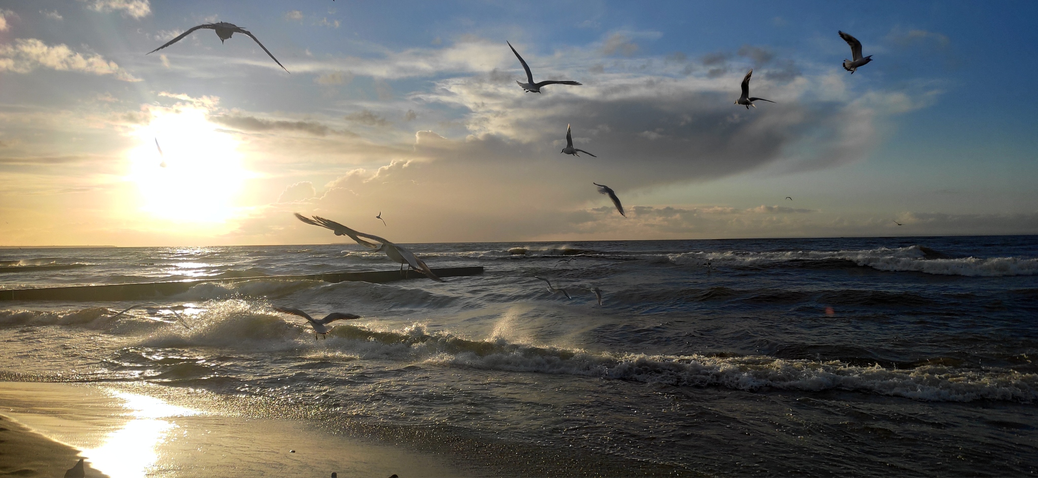 A little bit of Russian beauty... and that’s not all... - My, Sea, Kaliningrad region, The photo