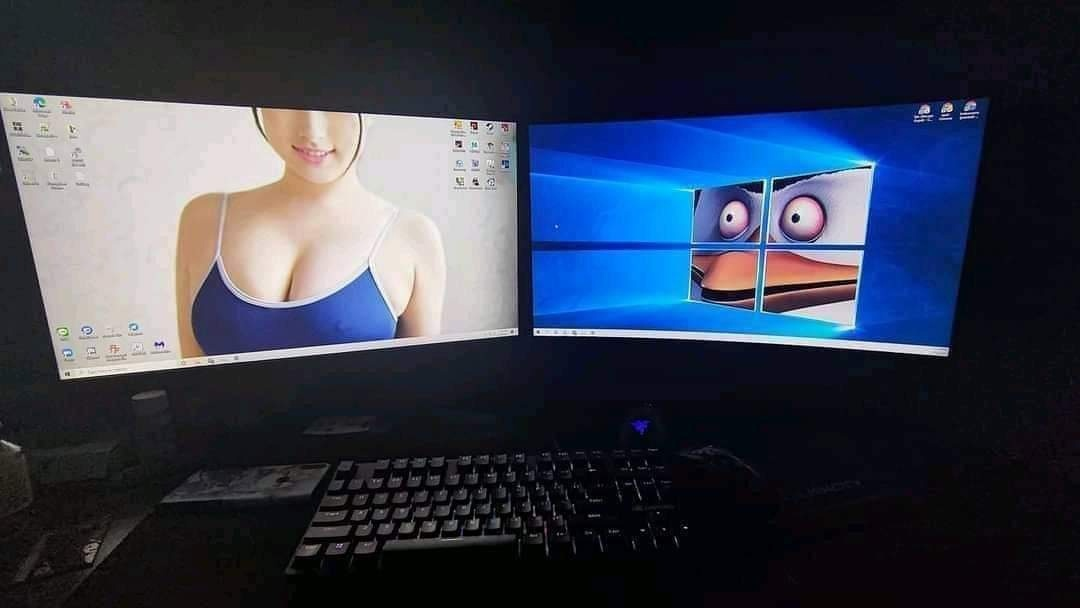 What's the point of two monitors? - Монитор, IT humor, Boobs