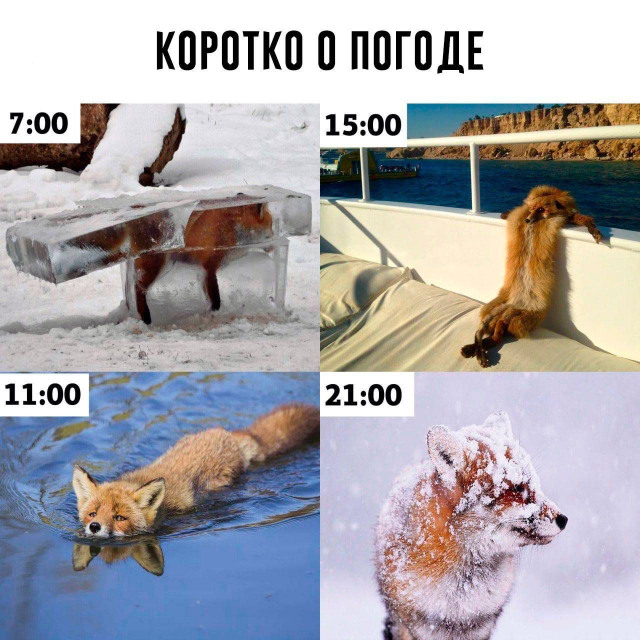 О погоде | Пикабу