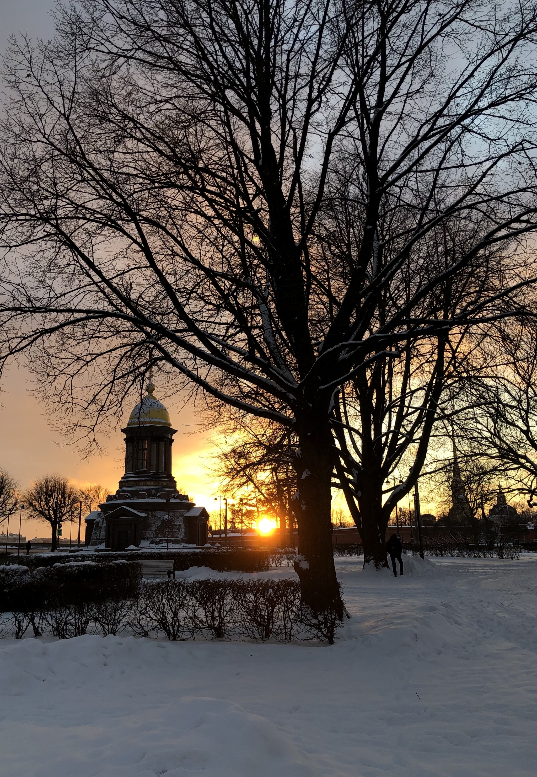 Orange sunset - My, Sunset, Winter, Tree, The photo