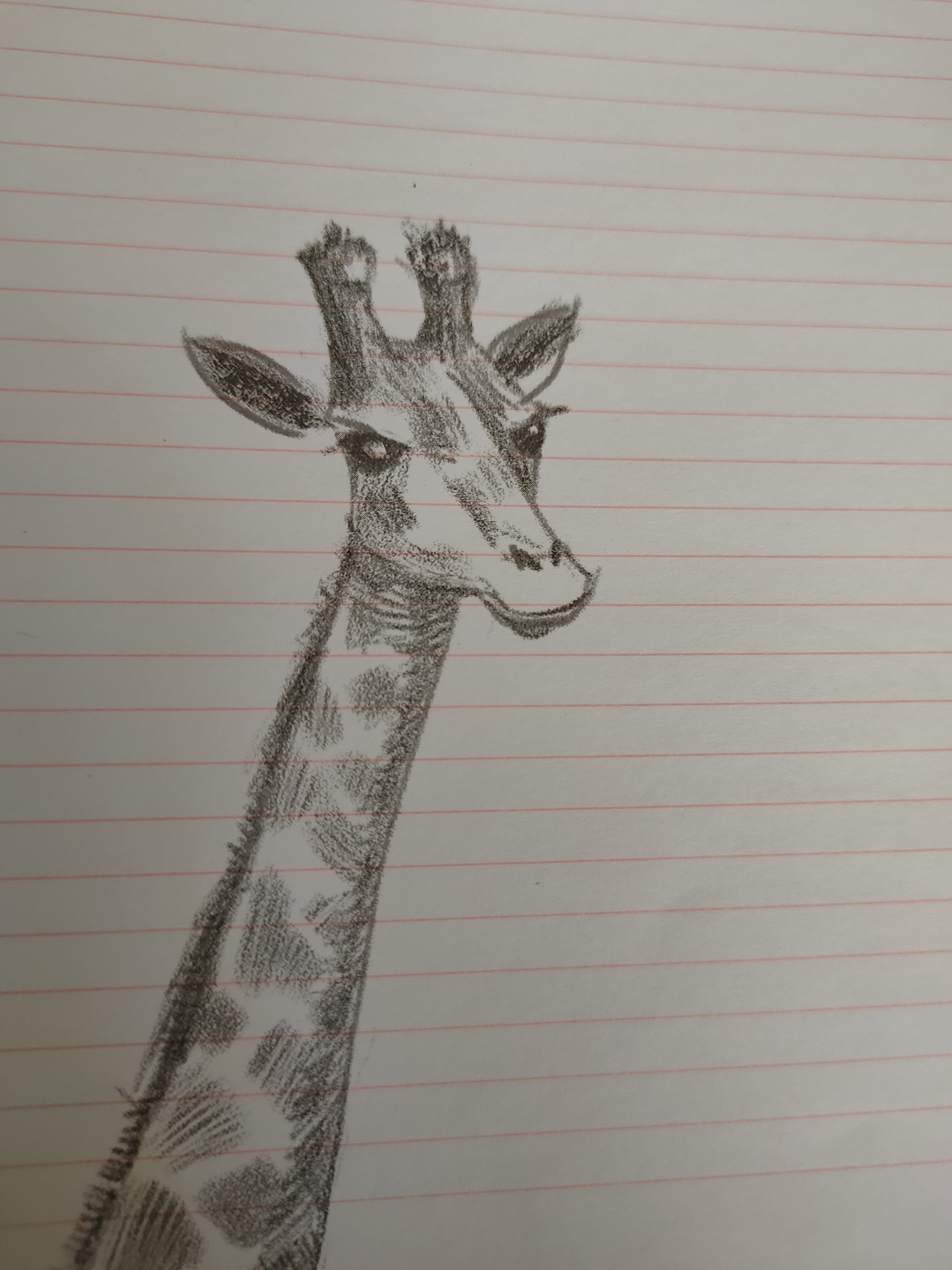 Giraffe - My, Painting, Animals, Art, Pencil drawing
