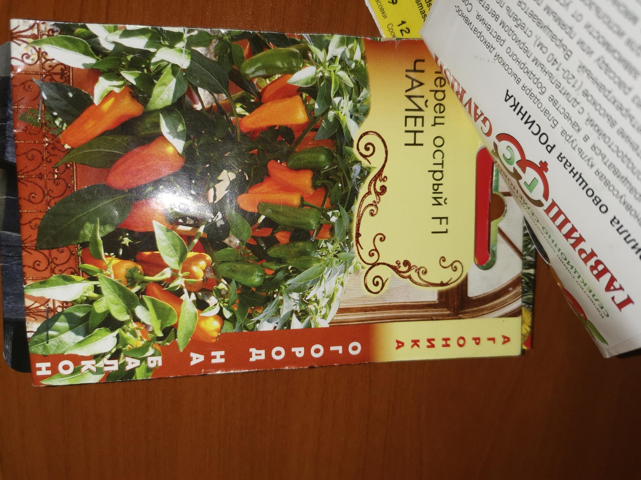 Продолжение поста «Как вырастить лимоны на Севере» или А давайте вырастим перцы, к черту лимоны, они у нас уже растут. - Моё, Выращивание, Перец, Комнатные растения, Фикус, Длиннопост