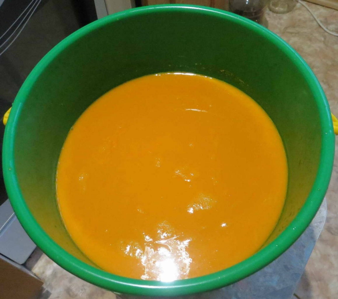 Preparation of sea buckthorn juice - My, Juice, Sea buckthorn, Freebie, With your own hands, Longpost