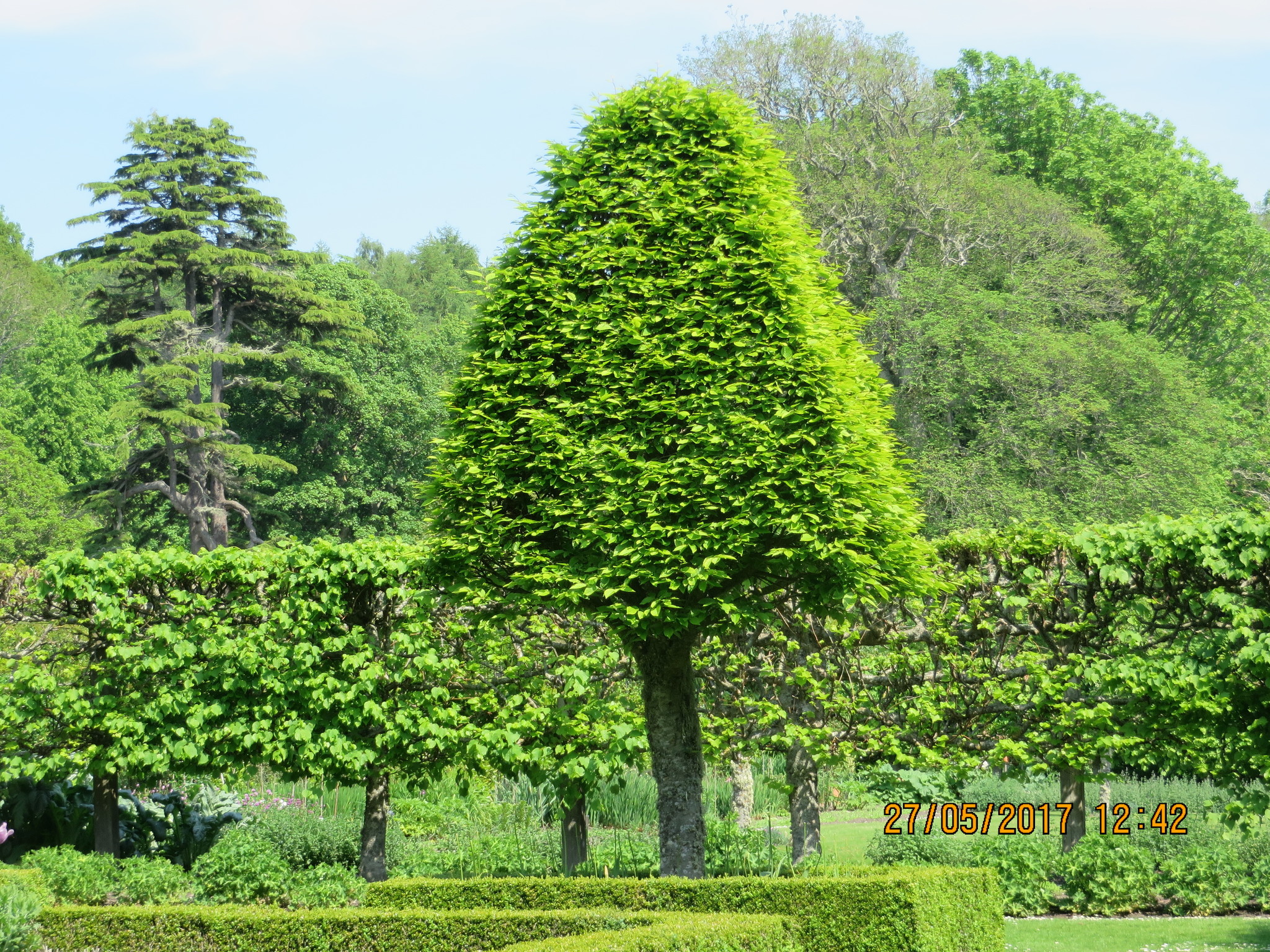 Garden of the Countess of Suzeland - My, Travels, Locks, Gardens, Scotland, Countess, Longpost