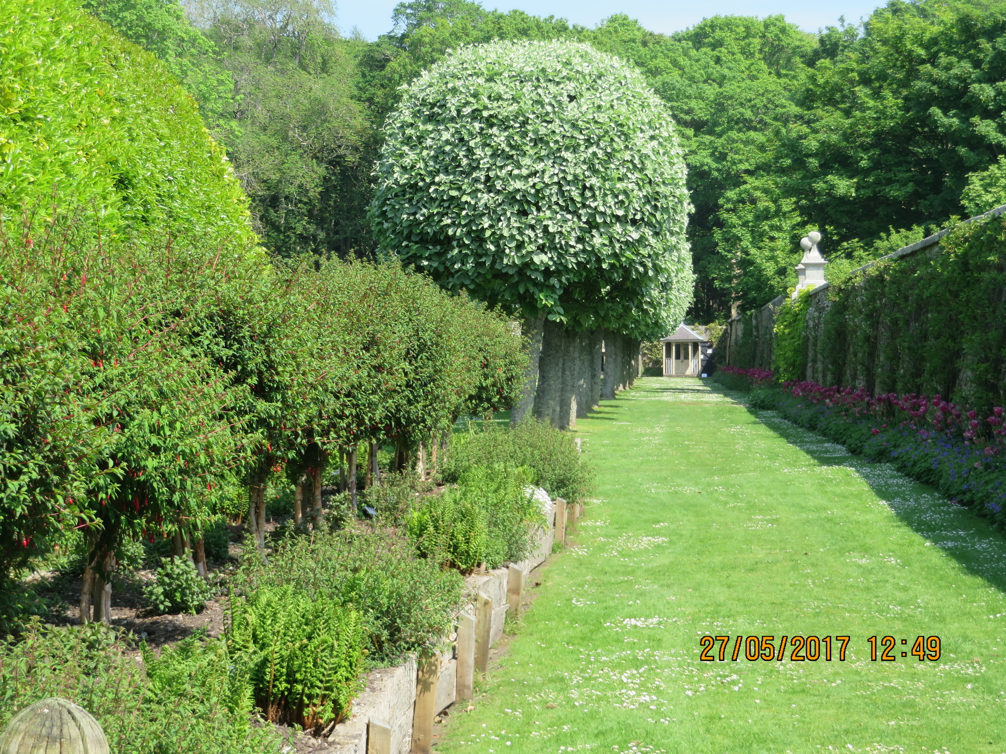 Garden of the Countess of Suzeland - My, Travels, Locks, Gardens, Scotland, Countess, Longpost