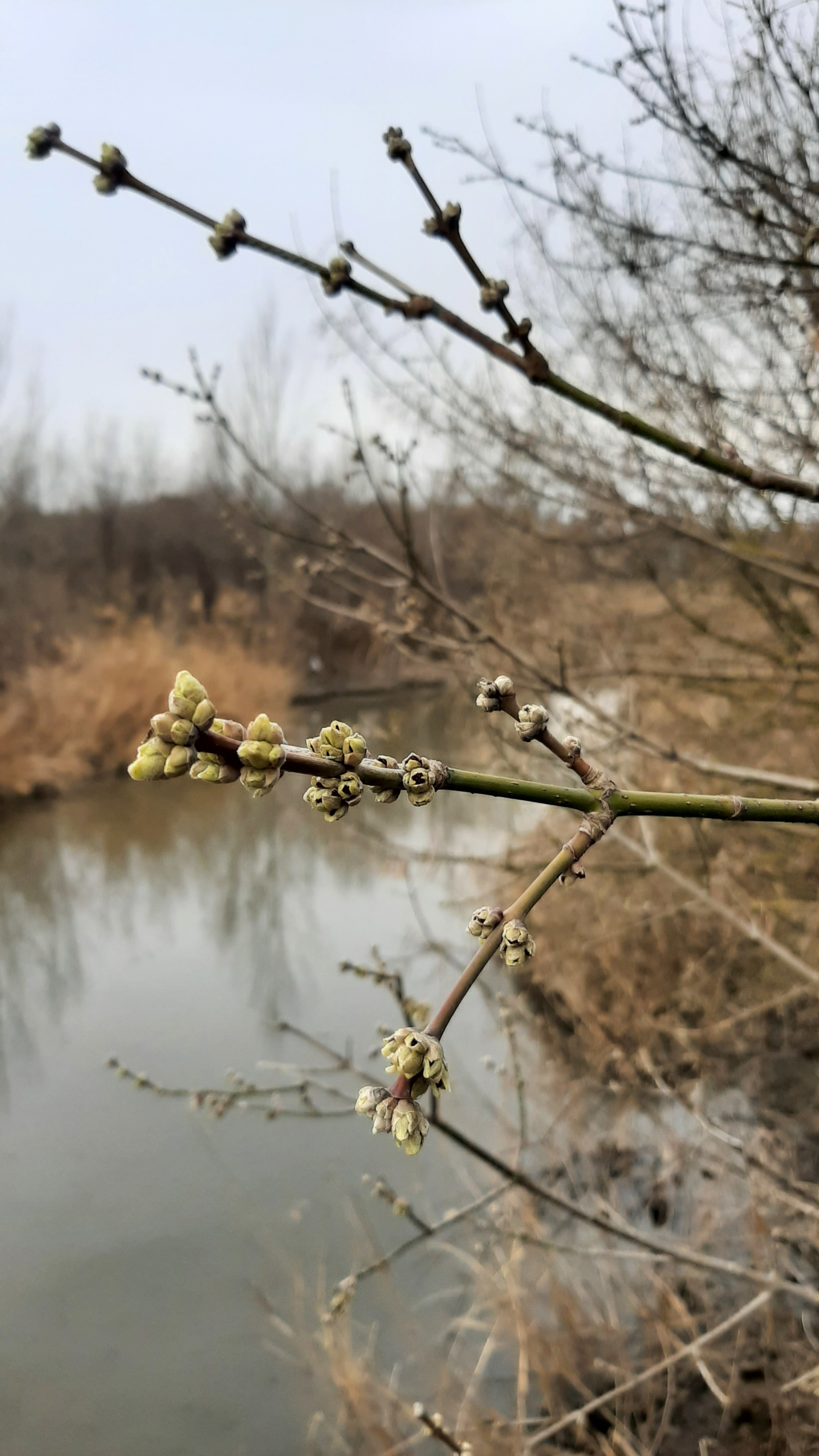 April shower - My, Rostov-on-Don, Mobile photography, Copyright, Longpost