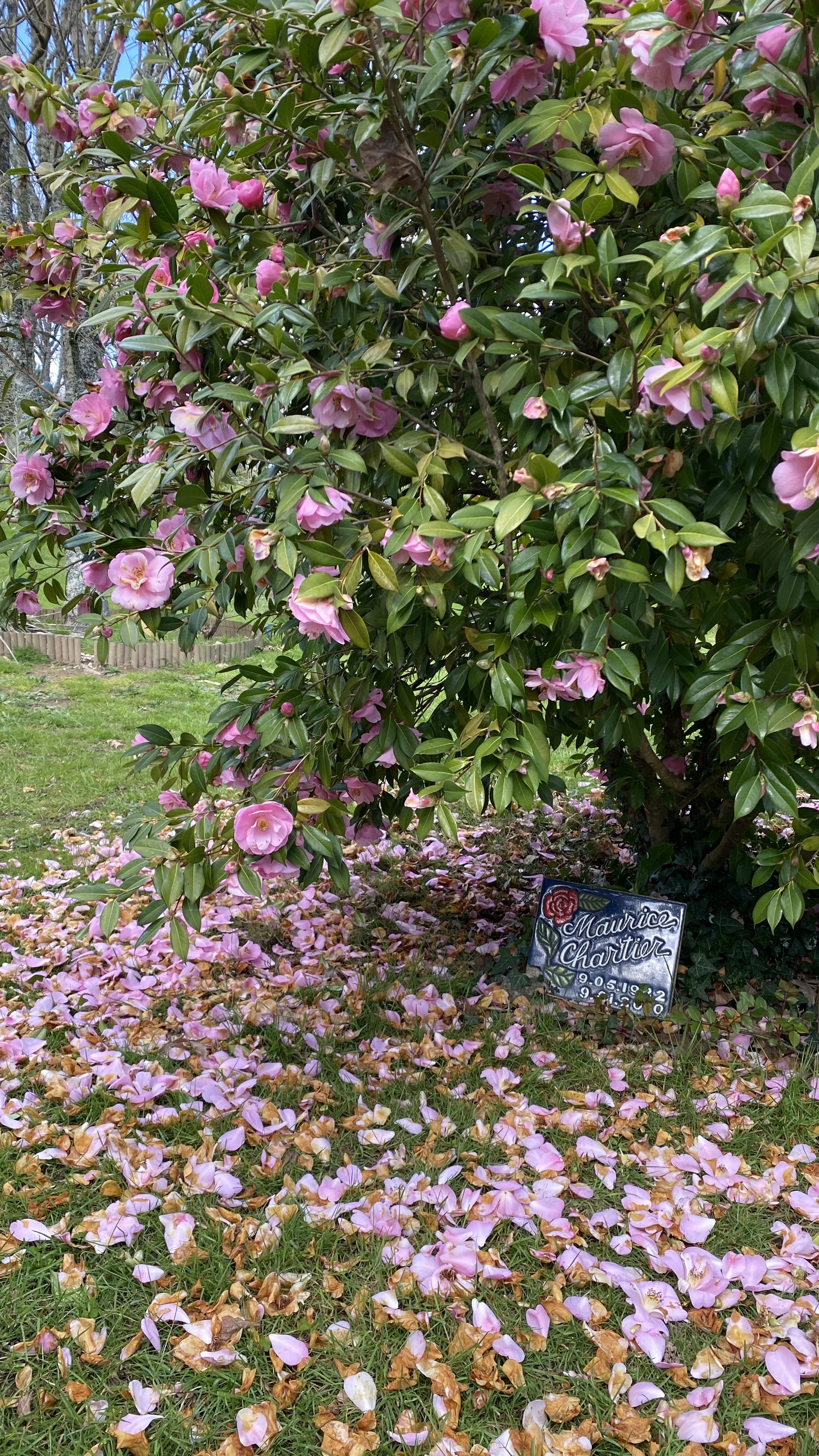 A place where you can find peace - My, France, Brittany, Cemetery, Longpost, The photo