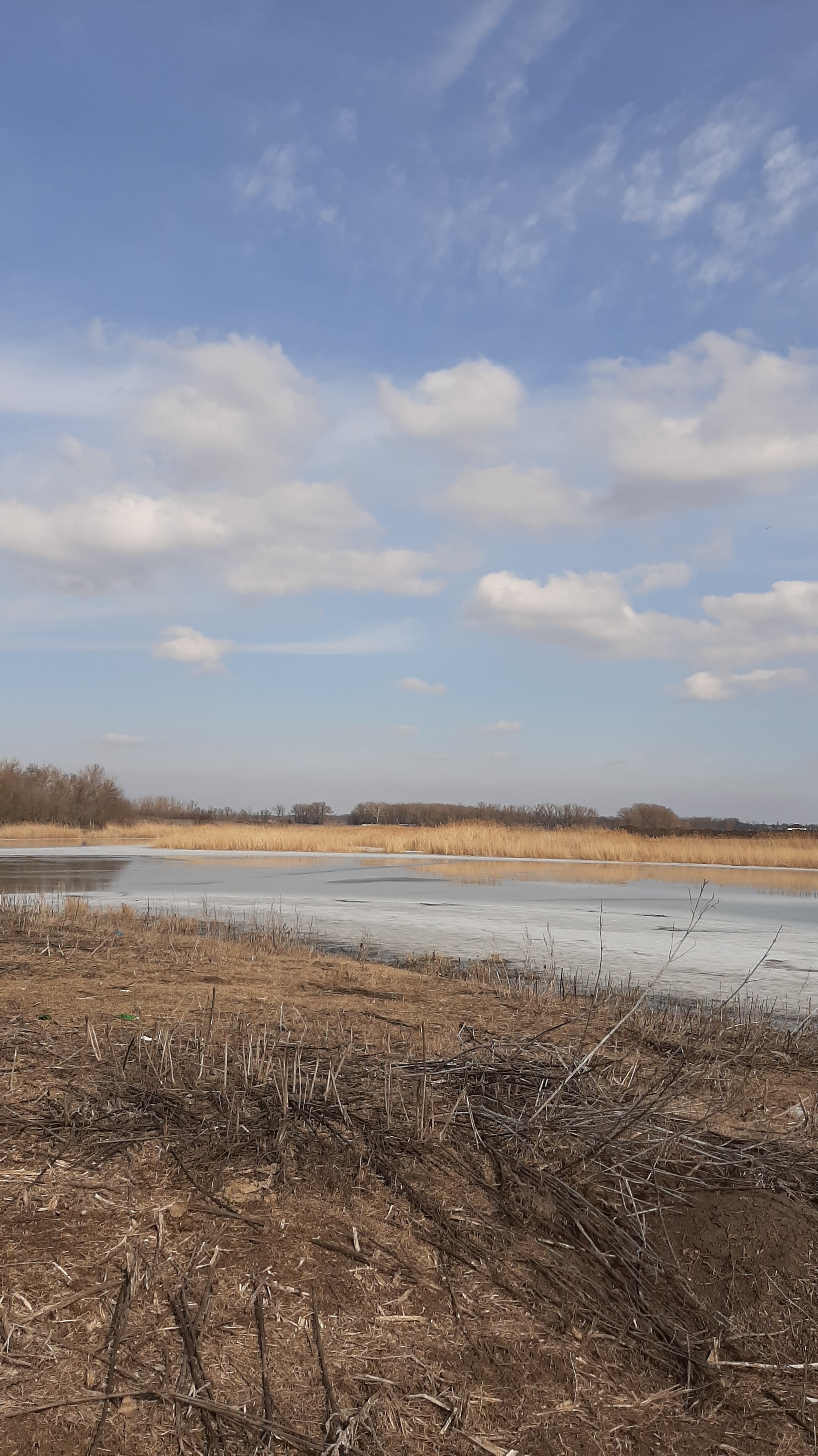 Trip to the lake - My, Rostov-on-Don, Mobile photography, Copyright, Nature, Longpost