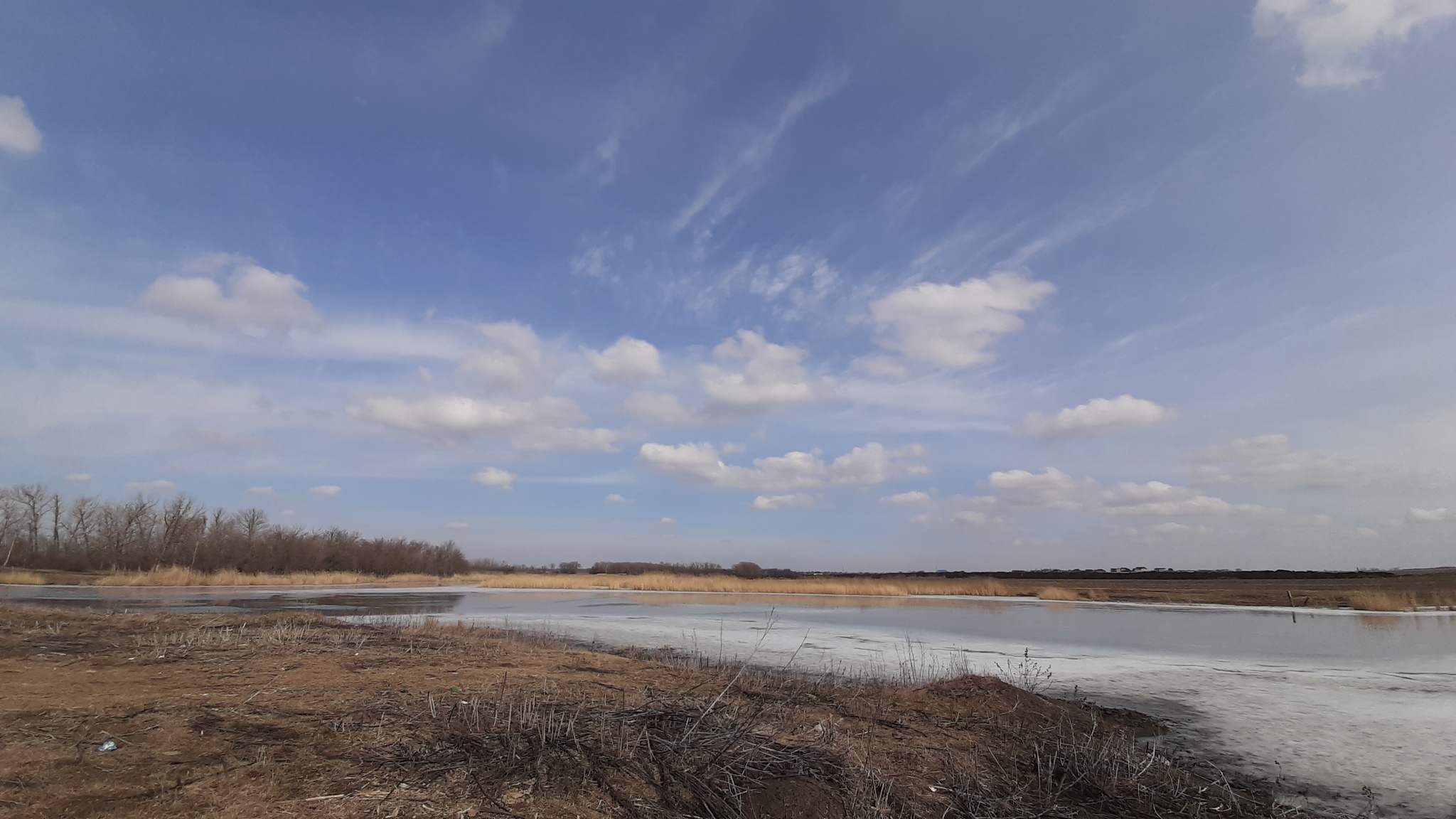 Trip to the lake - My, Rostov-on-Don, Mobile photography, Copyright, Nature, Longpost