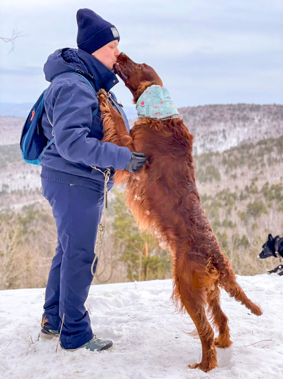 Walk to the Black Hill - My, Krasnoyarsk, Hiking, Dog, Longpost, The photo