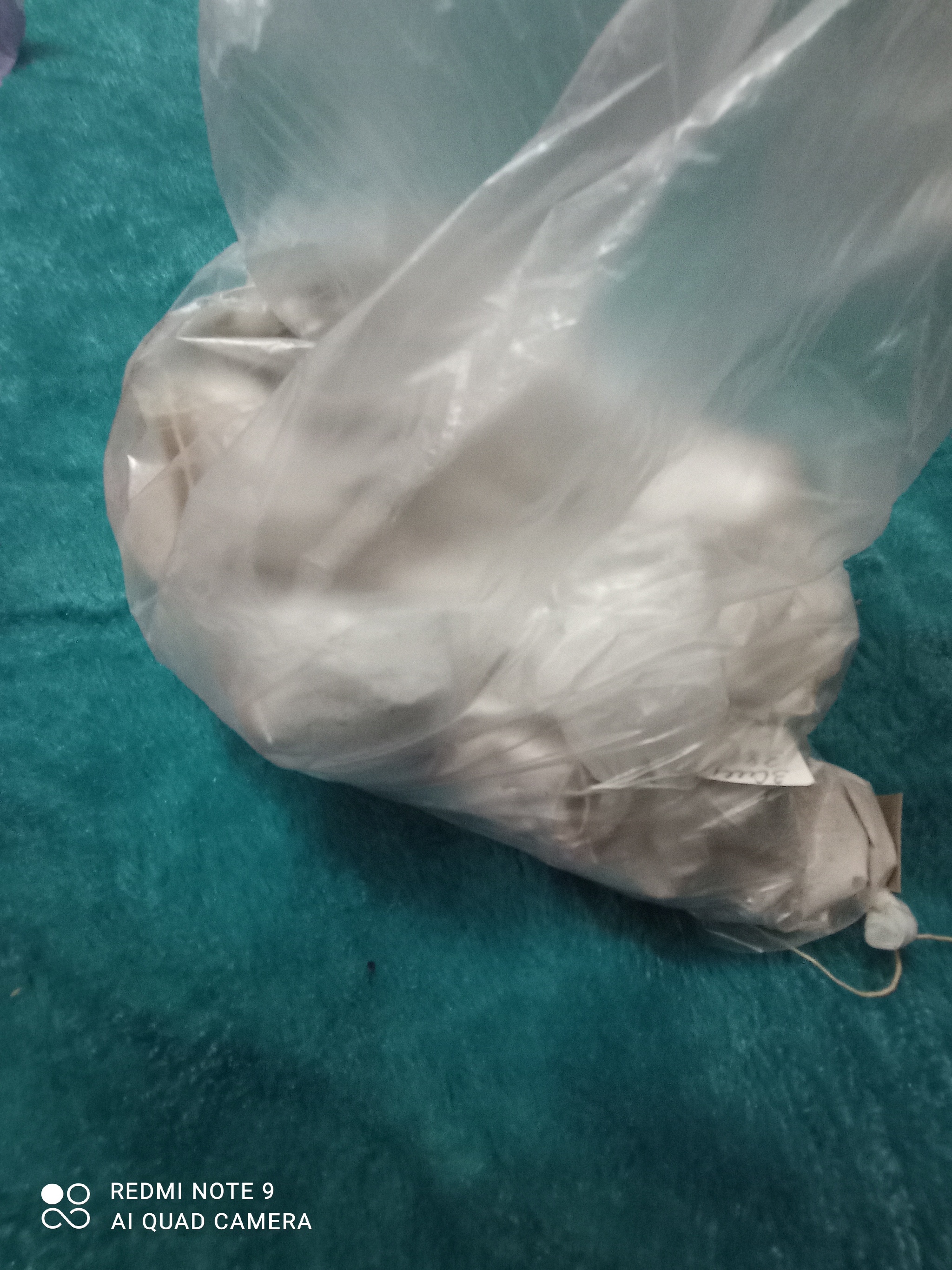 Tell me, what kind of crap is in the bags? - My, Help, Identification, Longpost