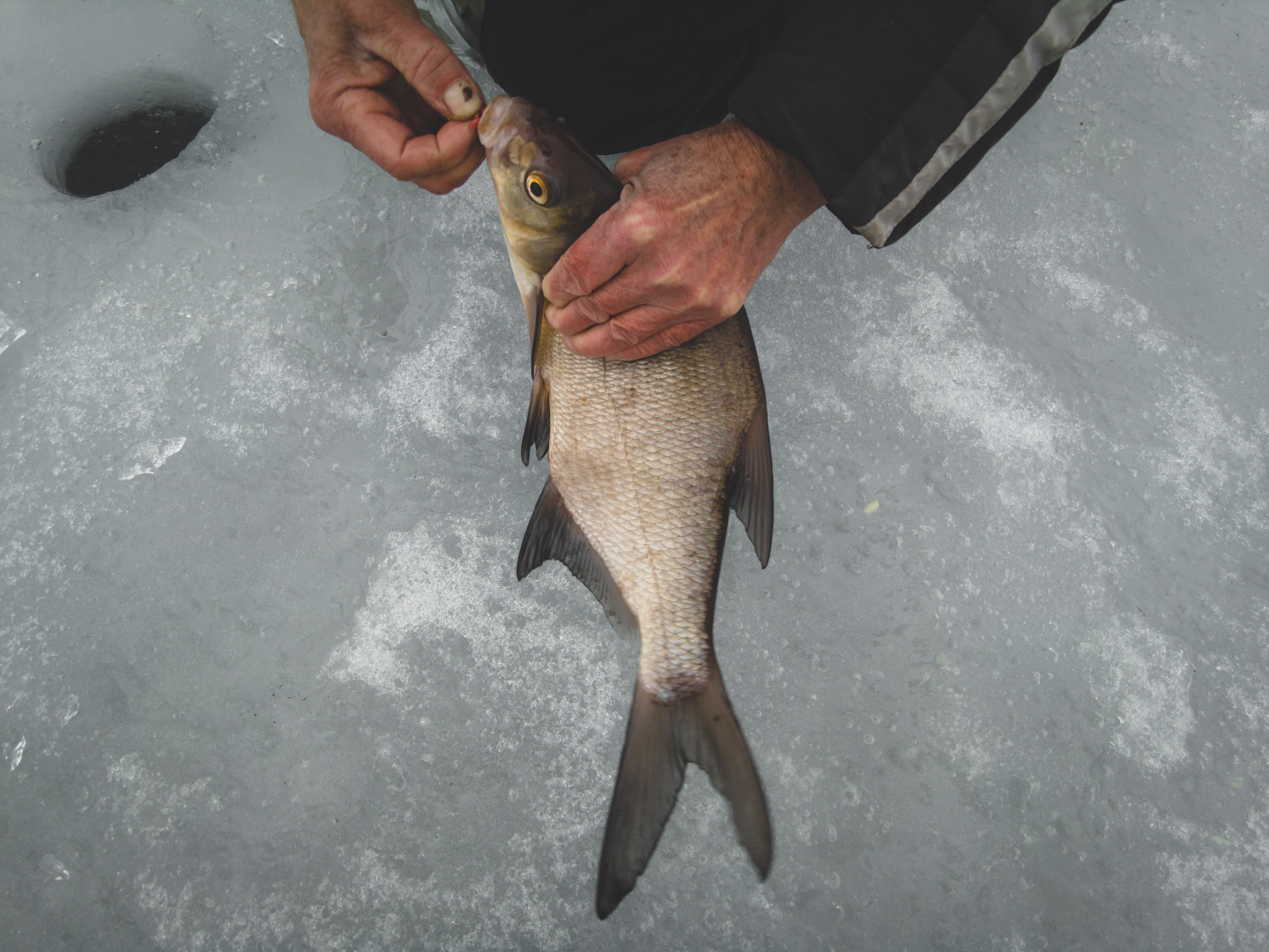 Bream on a jig at the end of the season. Last Ice 2021 - My, Bream, Catching, Winter fishing, Fishing, Mormyshka, Video, Longpost, Video blog