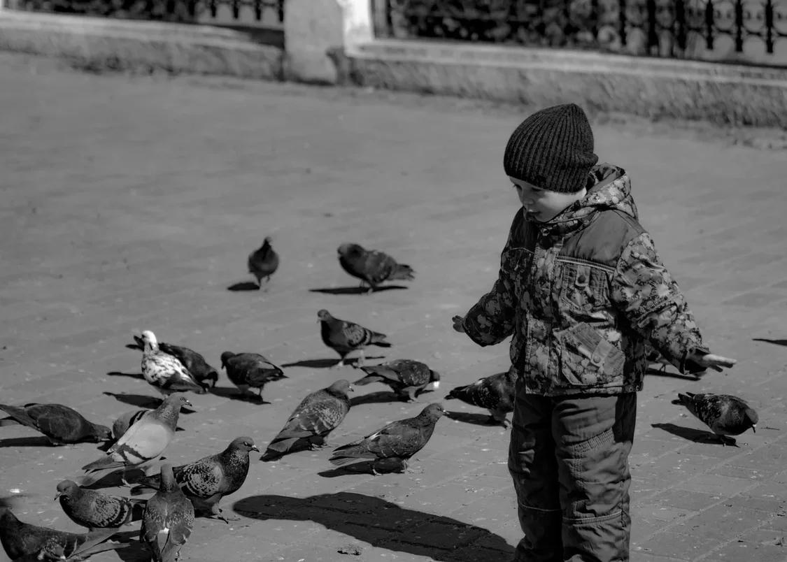 Lord of the Doves - My, Children, Street photography, Black and white photo, Spring, Longpost