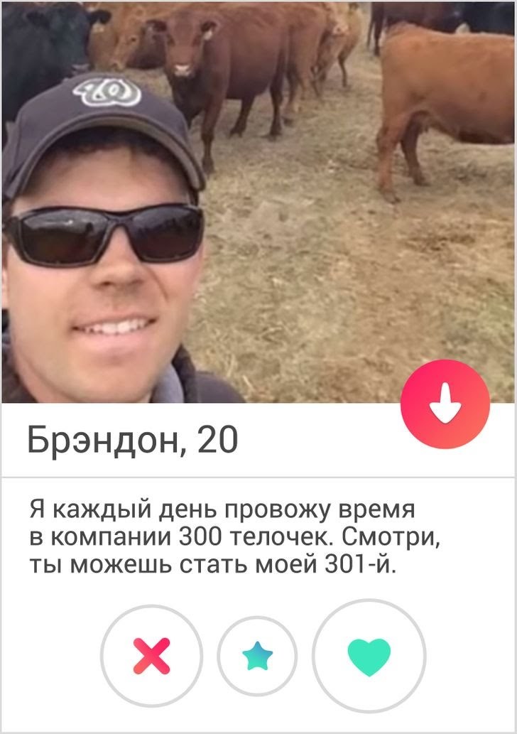 Profiles #inder 48))))) - Humor, Acquaintance, 18+, Mat, Screenshot, Longpost, Tinder