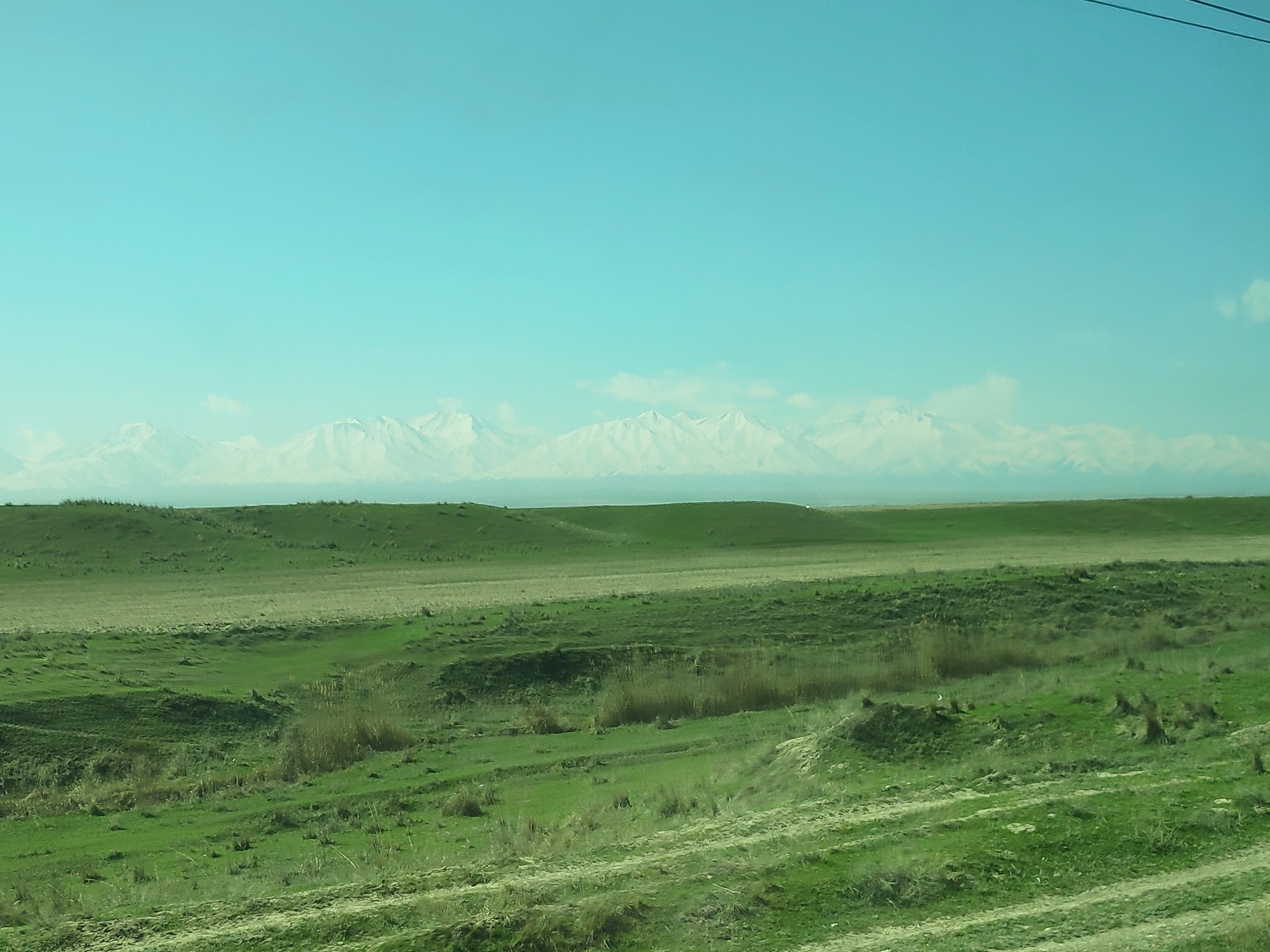 Trip from Taraz to Aktau - My, Nature, Landscape, Travels, Business trip, Longpost, Kazakhstan