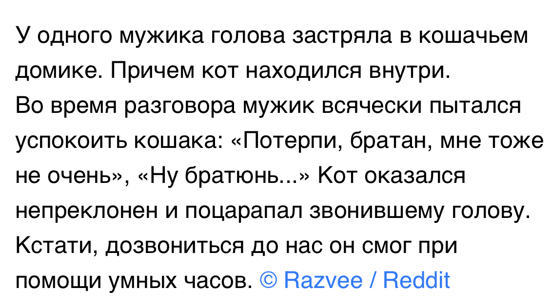 Нечего голову куда попало совать - ADME, Скриншот, Reddit, Голова, Кот