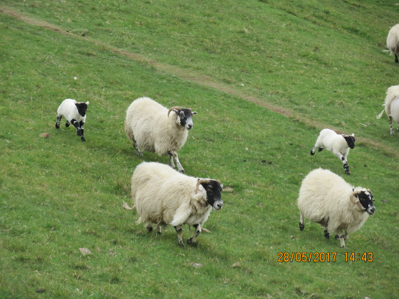 Isle of Skye. Part 1 - My, Scotland, Travels, Island, The mountains, Excursion, Longpost, The photo