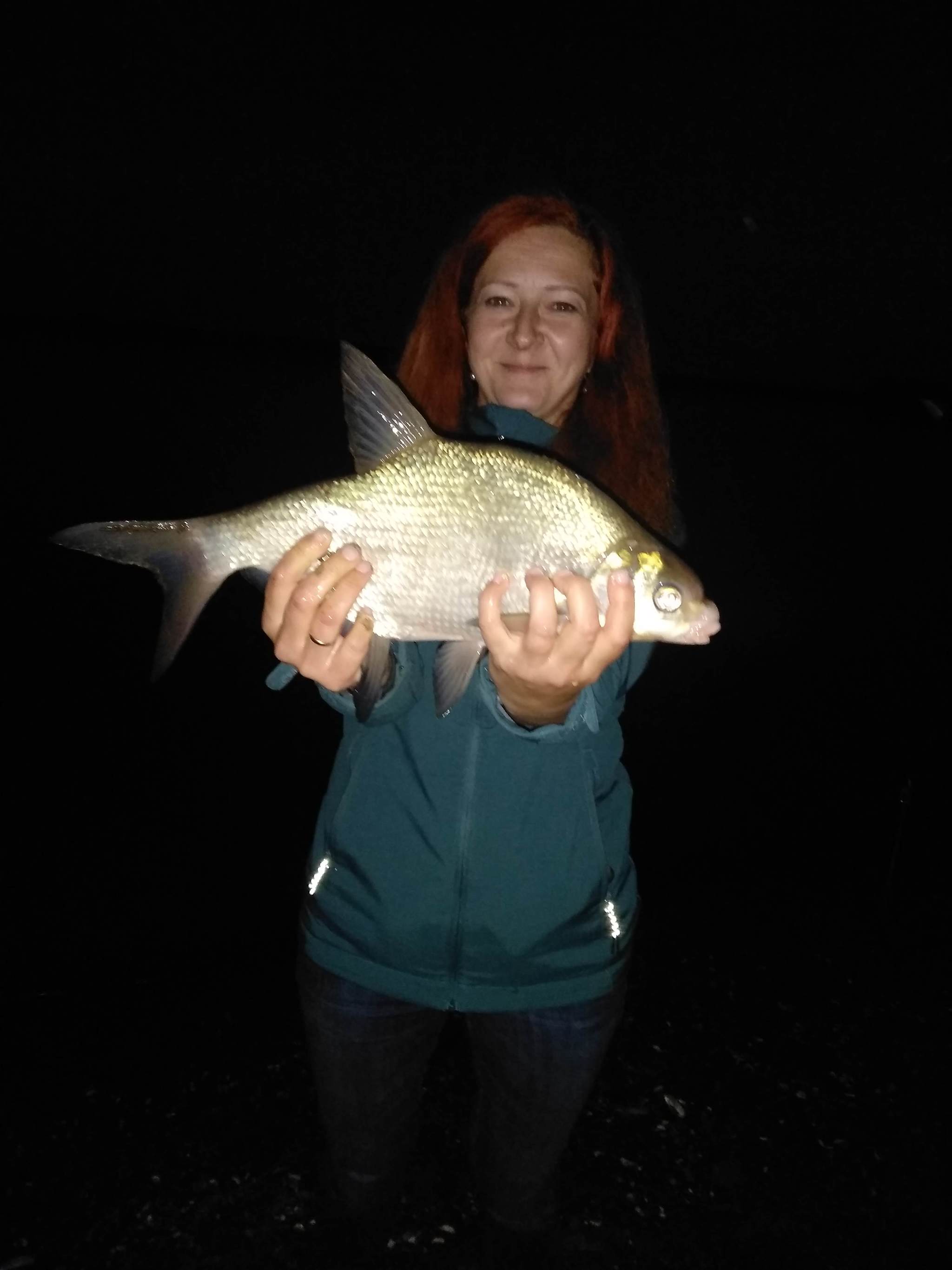 Night bream - My, Fishing, Fishing rod, Bream