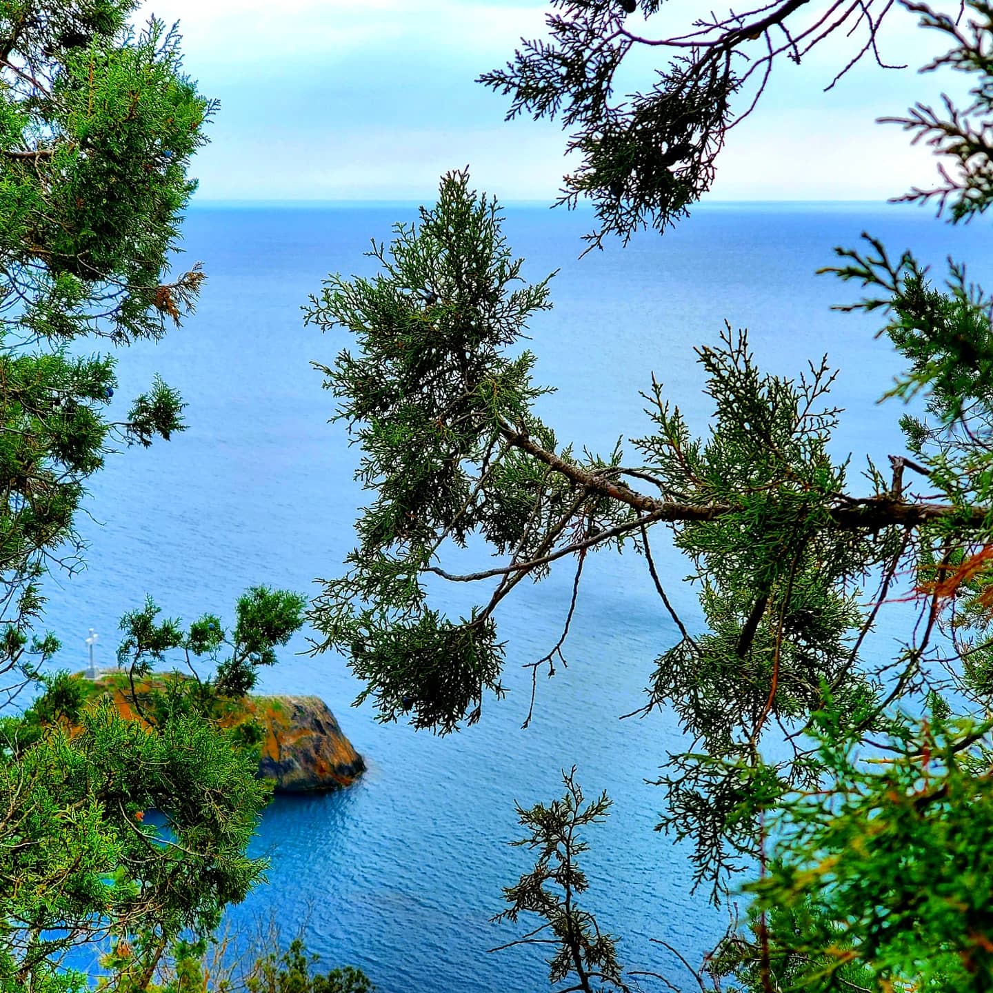 Spring Cape Fiolent (jasper beach) - My, Black Sea, Cape Fiolent, Spring, Nature, Spider, Beach, The mountains, The rocks, Longpost, Crimea, The photo