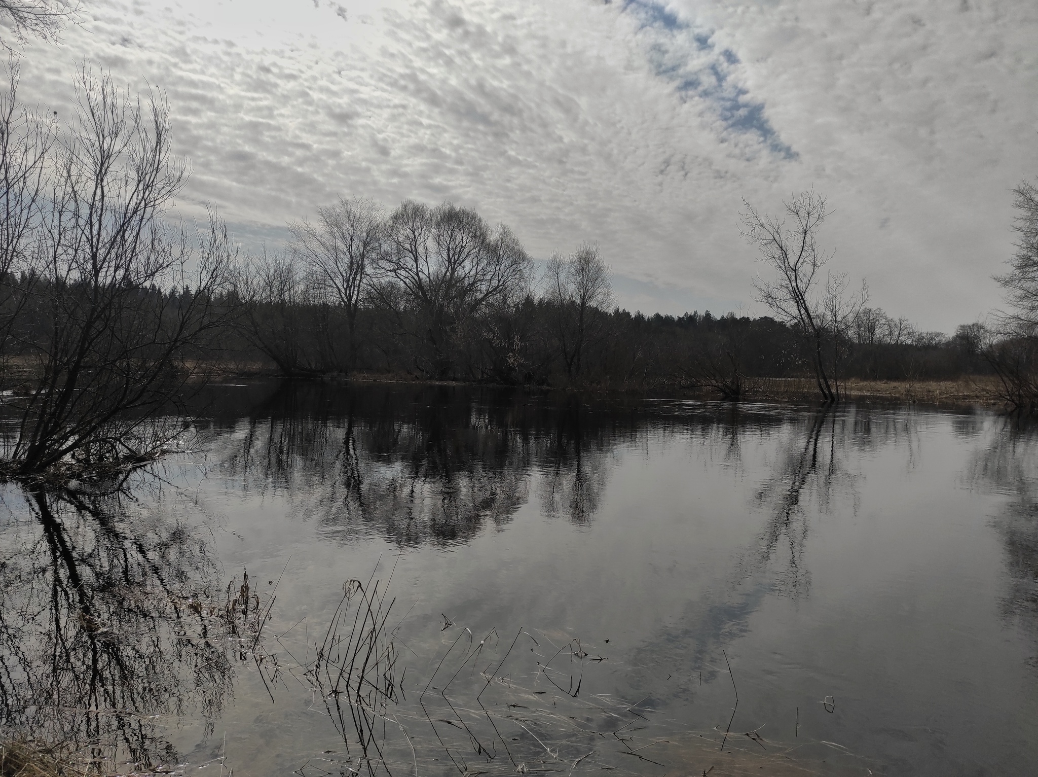 Spring waters - My, Mobile photography, Spring, River, Stream, Nature, Longpost