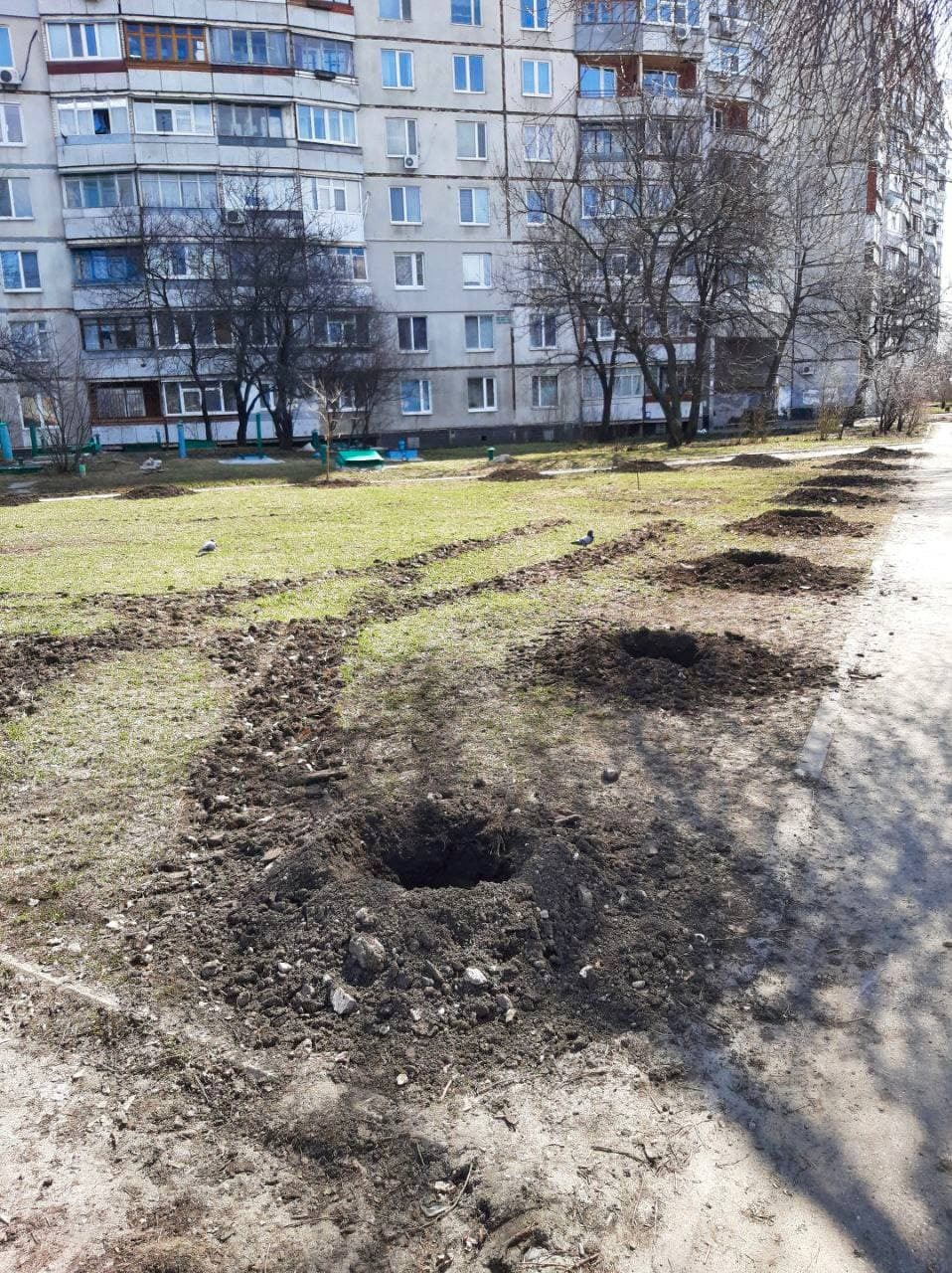 A moment of kindness - Kharkov, Ecology, Kindness, Landing, Tree, Peace, Landscaping, Longpost