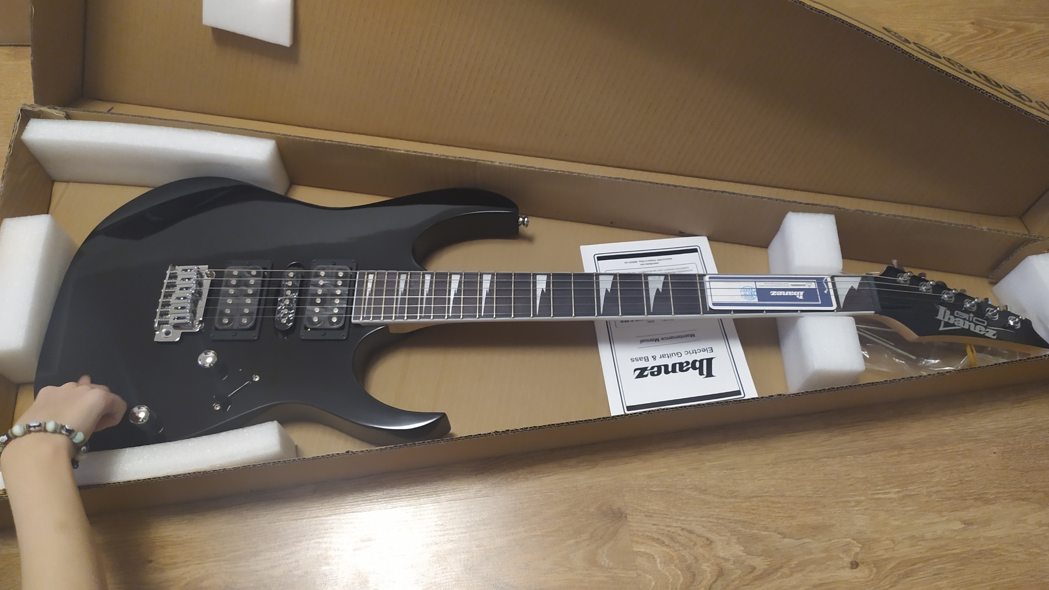 An idiot's dream come true! - My, Electric guitar, Ibanez, Purchase, Longpost, Guitar