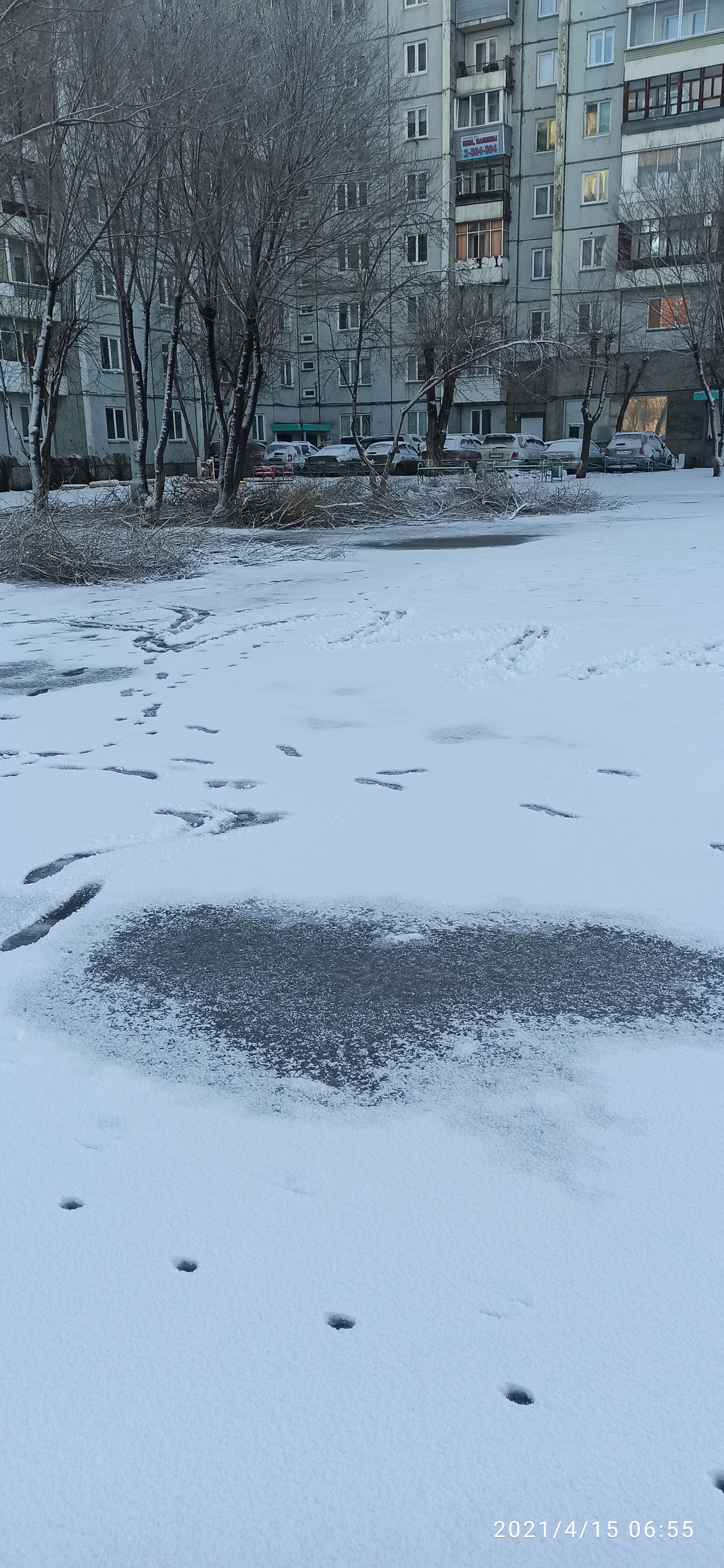 В Красноярск пришла весна - Моё, Снег, Весна, Длиннопост