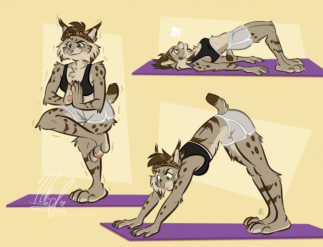 Yoga - Furry, Anthro, Art, Furry lynx, Nicnak044