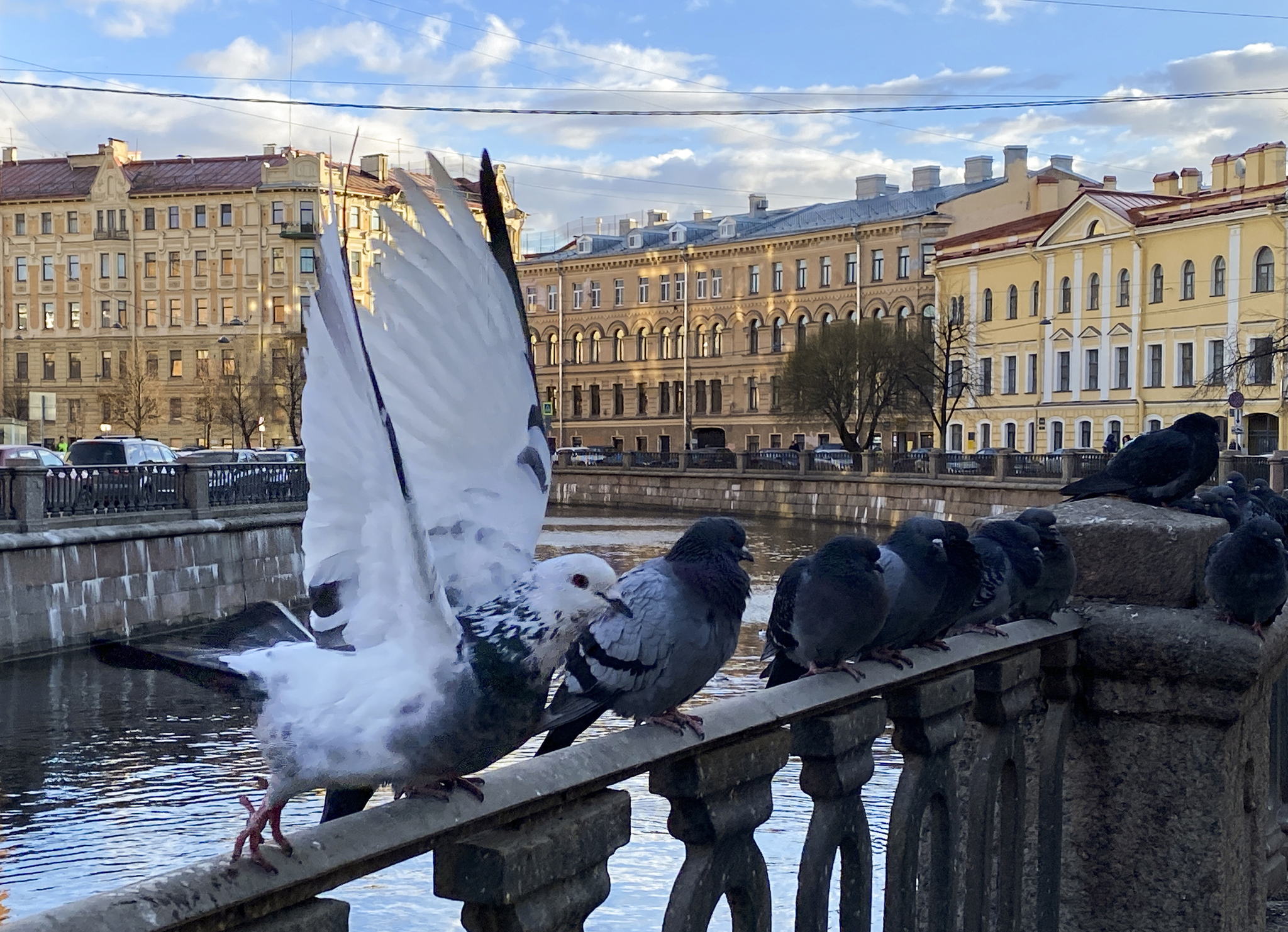 St. Petersburg walks, April - My, Saint Petersburg, City walk, Photo on sneaker, Mobile photography, beauty, Longpost