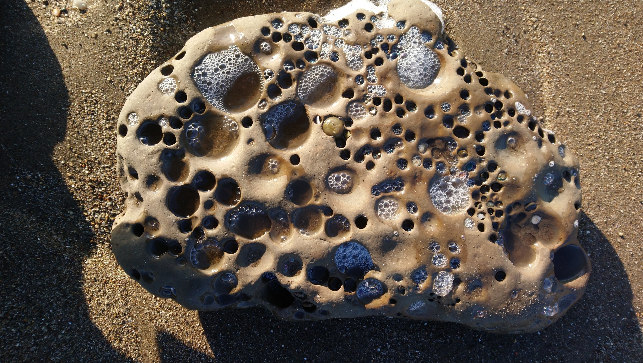 Pebble - My, Trypophobia, Tatar Strait, Sakhalin, Mobile photography