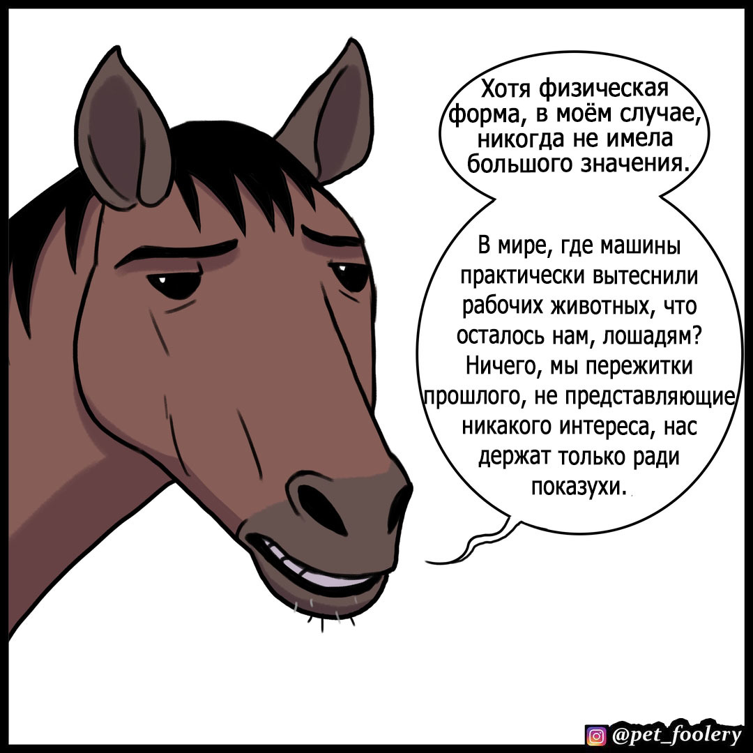 A horse walks into a bar - Pet foolery, Comics, Horses, Bar, Humor, Longpost