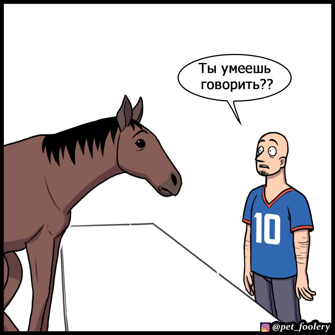 A horse walks into a bar - Pet foolery, Comics, Horses, Bar, Humor, Longpost