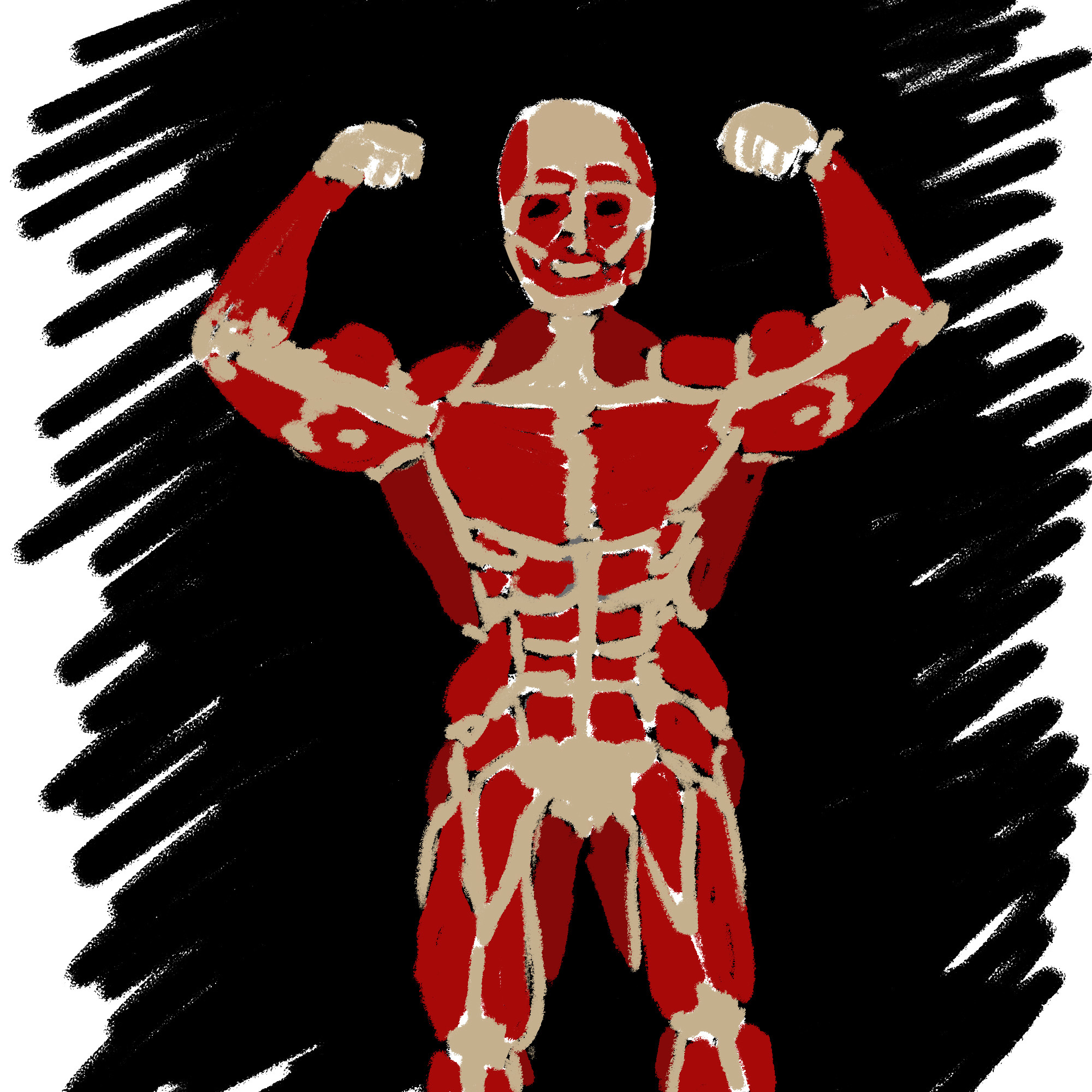 Anatomy - My, Skeleton, Muscle, Drawing, Longpost