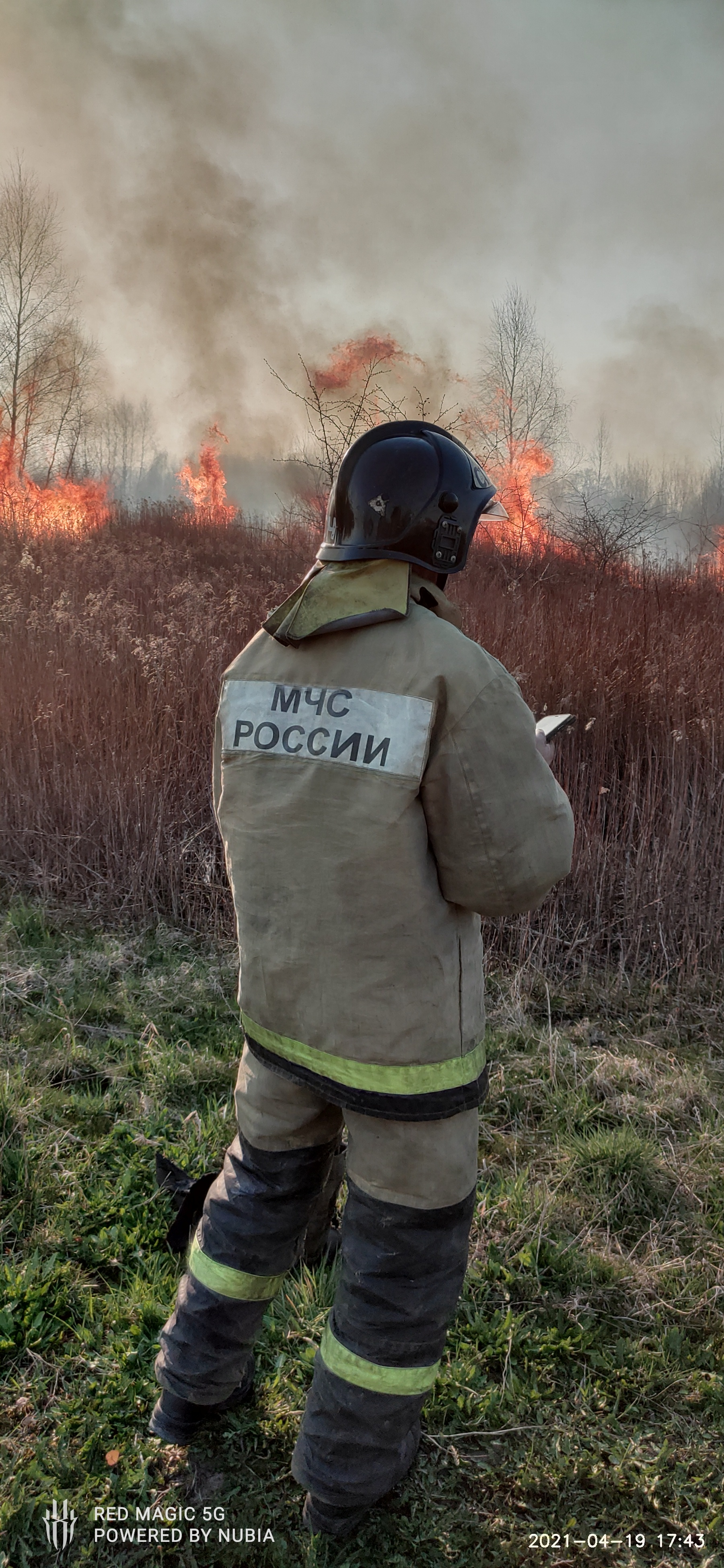 Спасибо кто тварит такое...упыри блин - Моё, Лесные пожары, Огонь, Видео, Длиннопост, Негатив