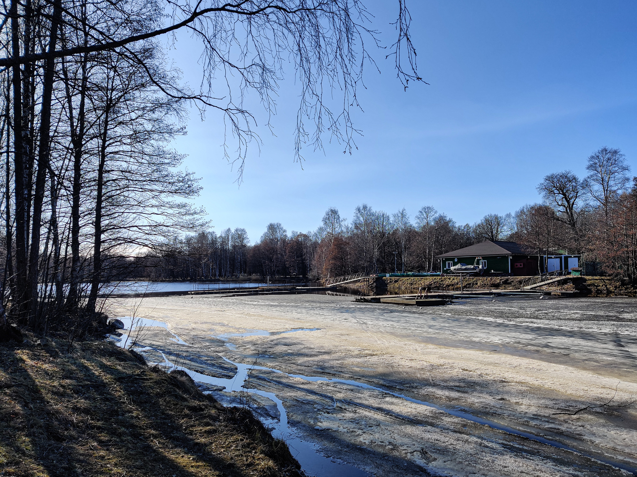 Parkovo-spring - My, Dubki Park, The park, Mobile photography, Spring, Kurortny district, Walk, Channel, The Gulf of Finland, magic tree, Video, Longpost