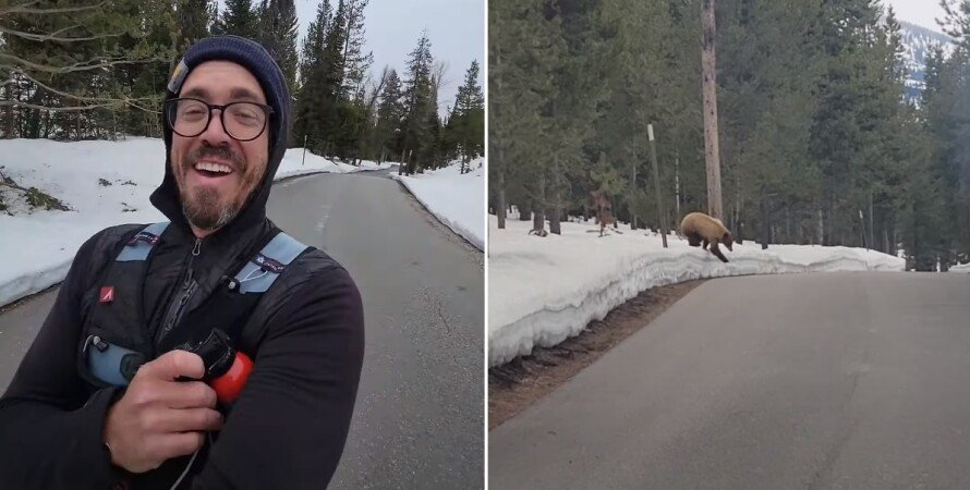 I'm not your food!... - The Bears, Wild animals, Predator, USA, Wyoming, Runner, National park, Grand Teton, Do not eat me, The pursuit, The rescue, No casualties, Steel eggs, Incident, Video, Longpost