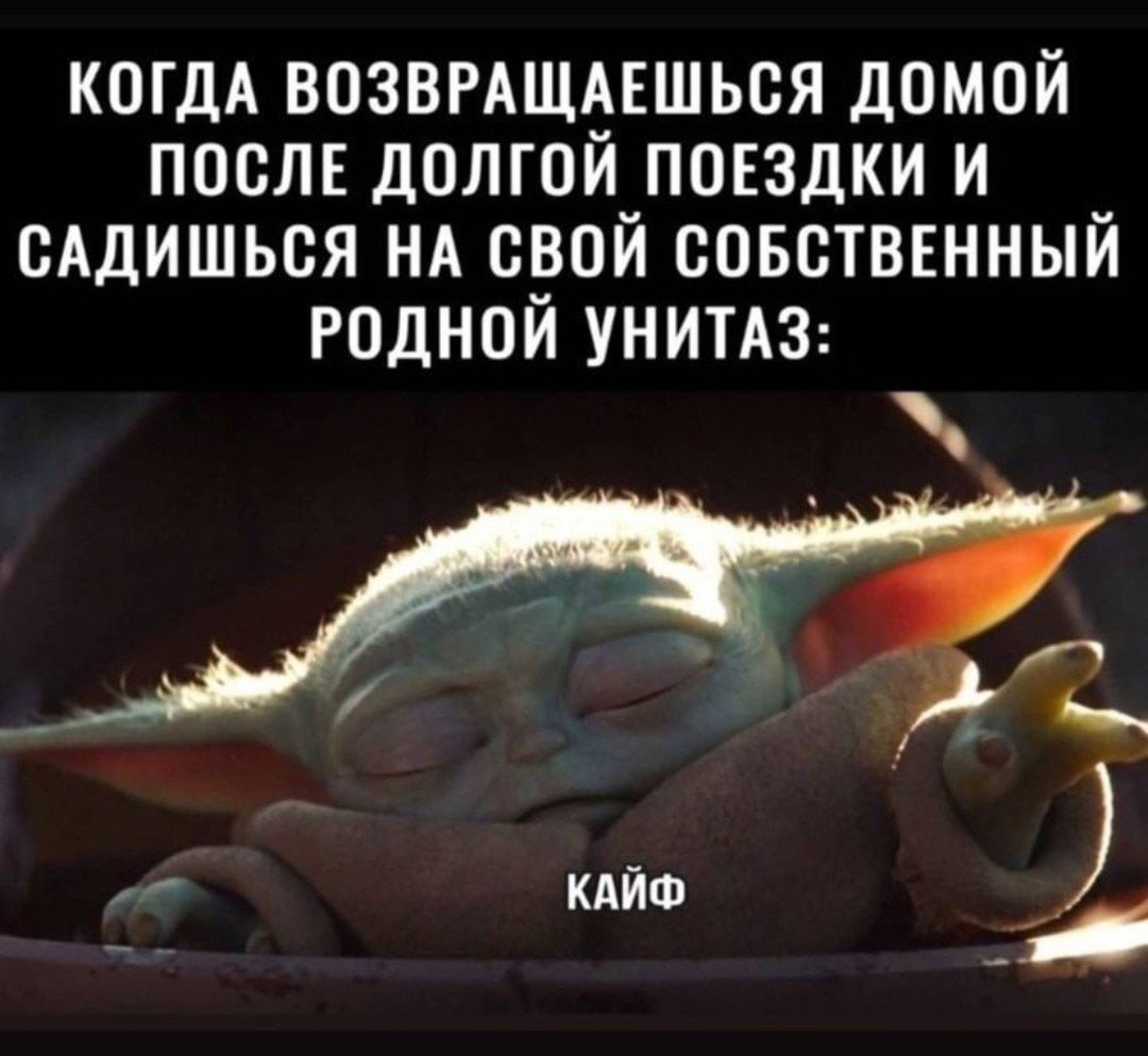 Родимый - Юмор, Туалет, Смех (реакция), Star Wars, Дом, Мемы, Мандалорец, Картинка с текстом, Грогу