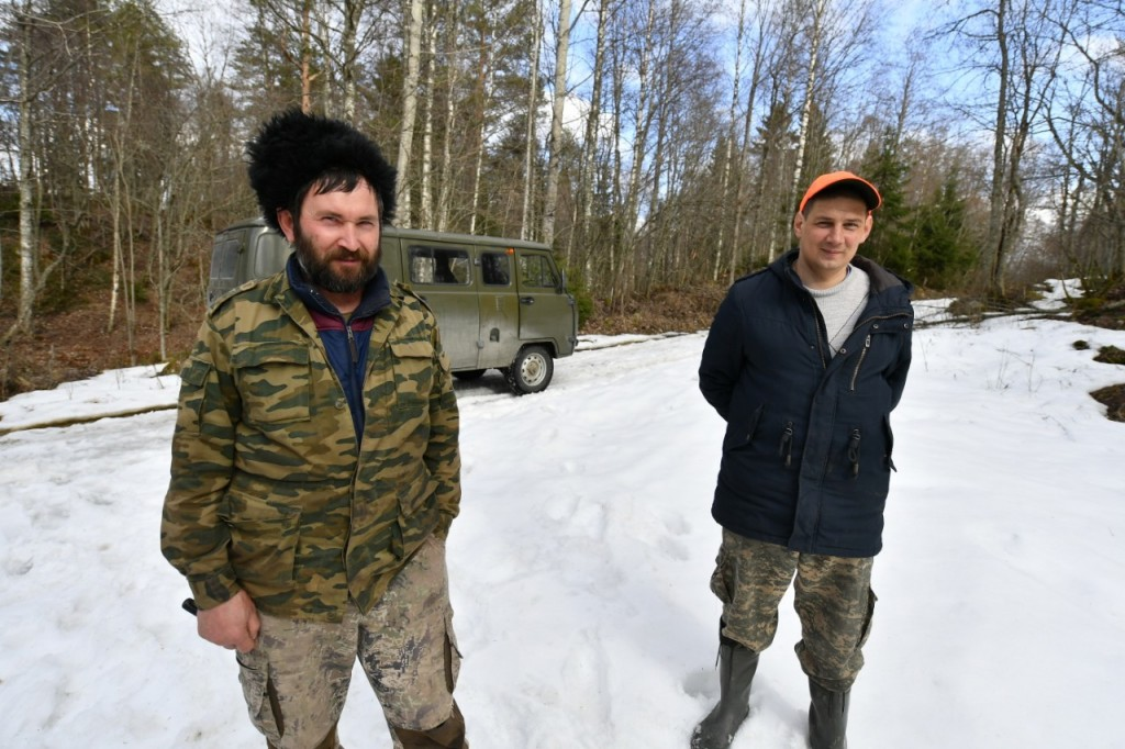 Ответ на пост «В Петрозаводске» - Рысь, Малые кошки, Семейство кошачьих, Хищник, Дикие животные, Медведи, Кабан, Карелия, Петрозаводск, Выпуск, На волю, Красная книга, Редкий вид, Инспектор, Лес, Защита животных, Охрана природы, Безопасность жизнедеятельности, Видео, Ответ на пост, Длиннопост