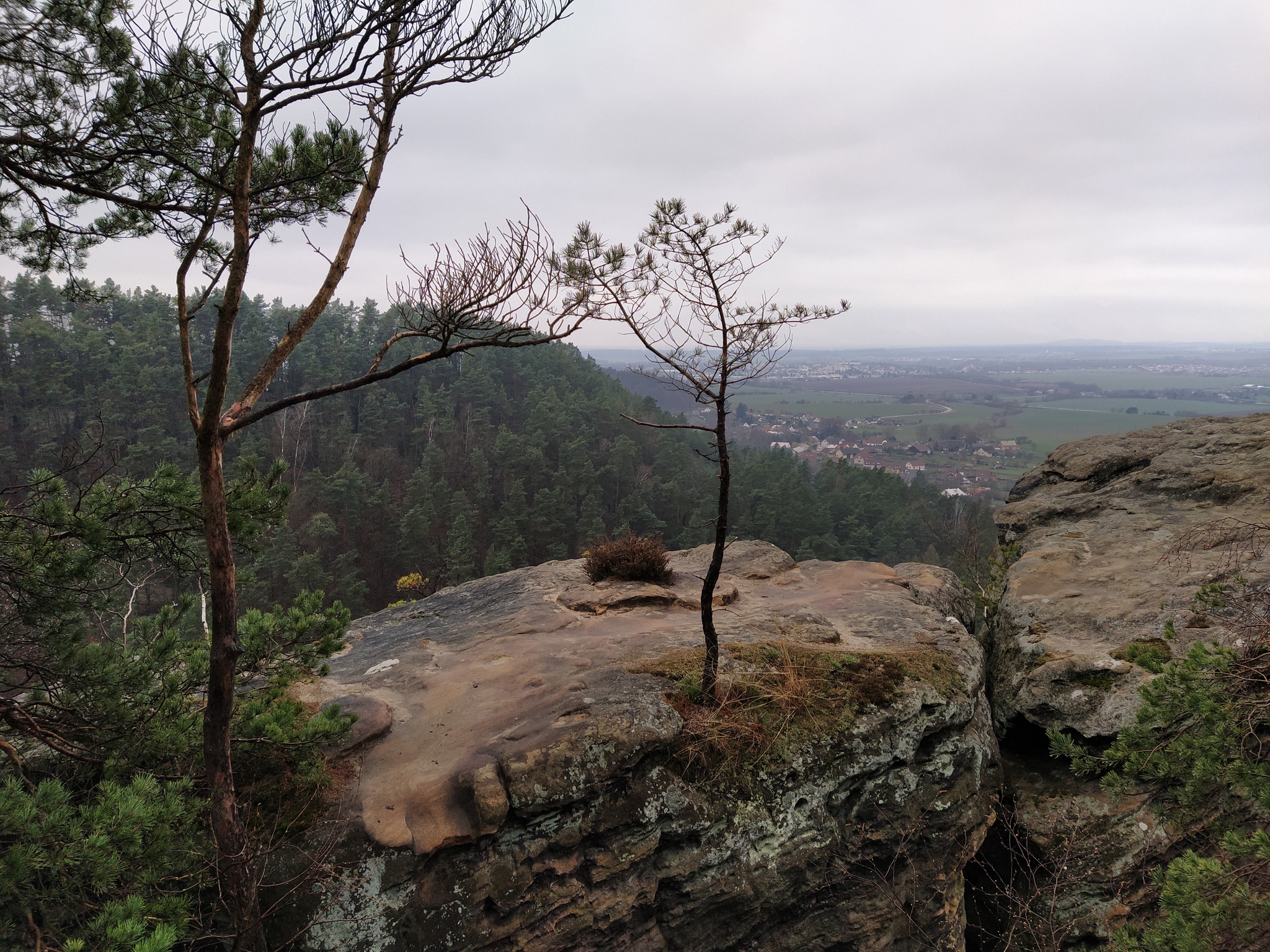 Nature reserve Czech Paradise - My, Czech, Nature, Reserves and sanctuaries, Longpost