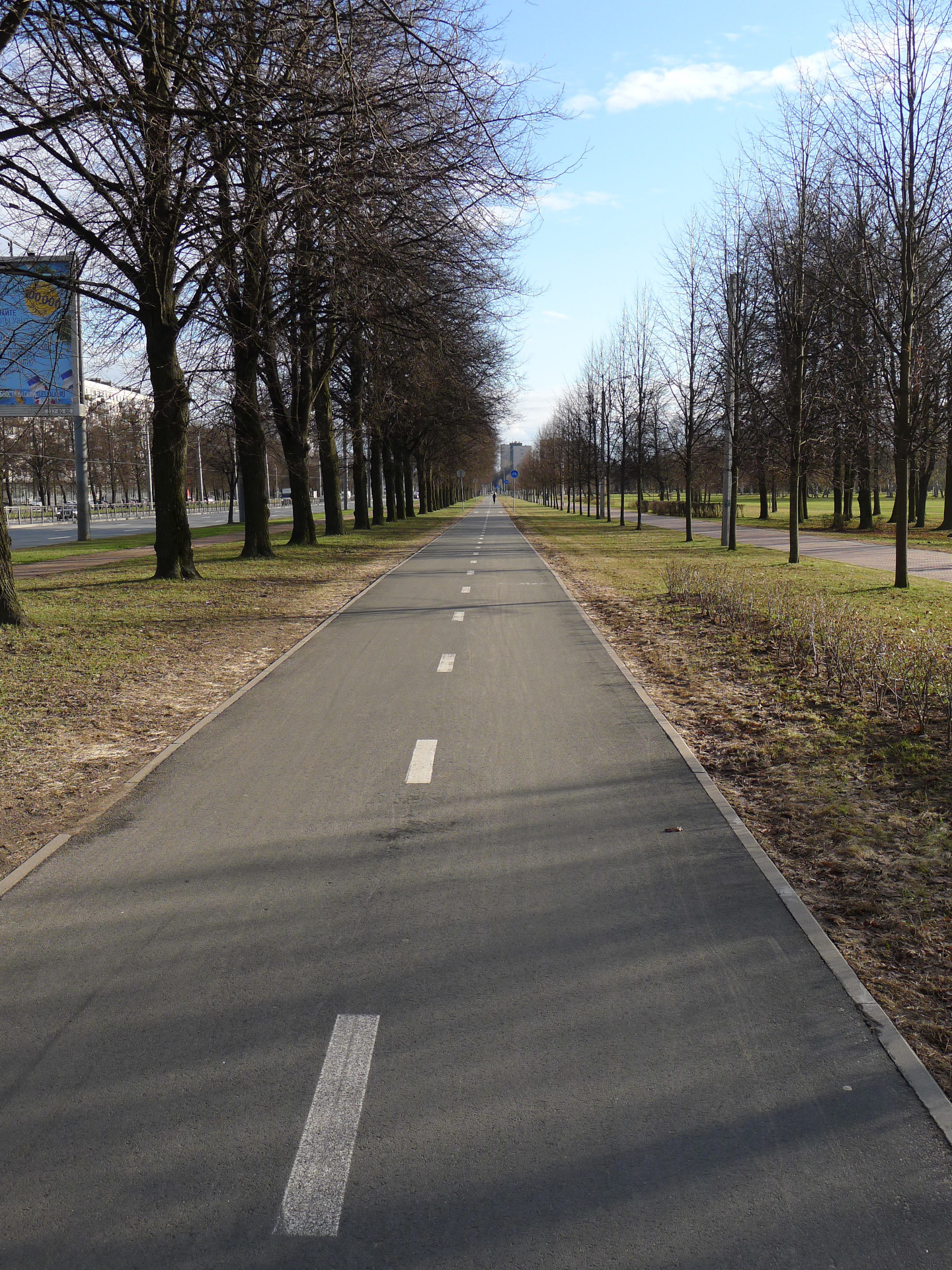 Cycling ride to Konnaya Lakhta - My, Saint Petersburg, The photo, Longpost, Nature