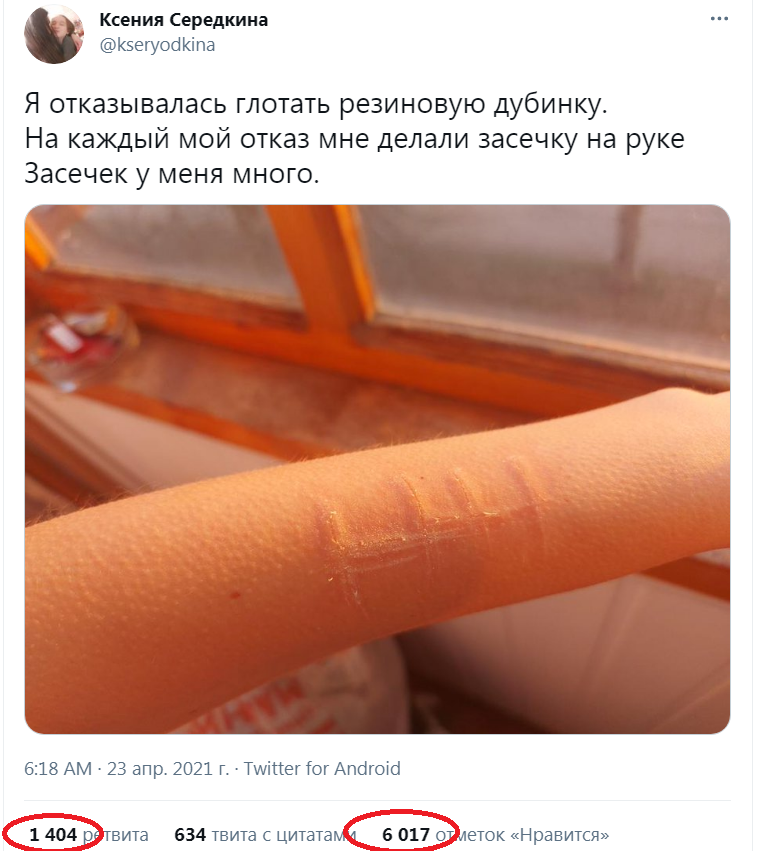 I love this... or the story of how the oppositionist was tortured by phishits - Russia, Politics, Twitter, Opposition, Longpost, Screenshot, Alexey Navalny