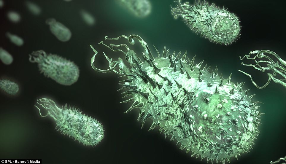 Shewanella oneidensis. Бактерии под микроскопом. Бактерии в микроскопе. Микроорганизмы под микроскопом.