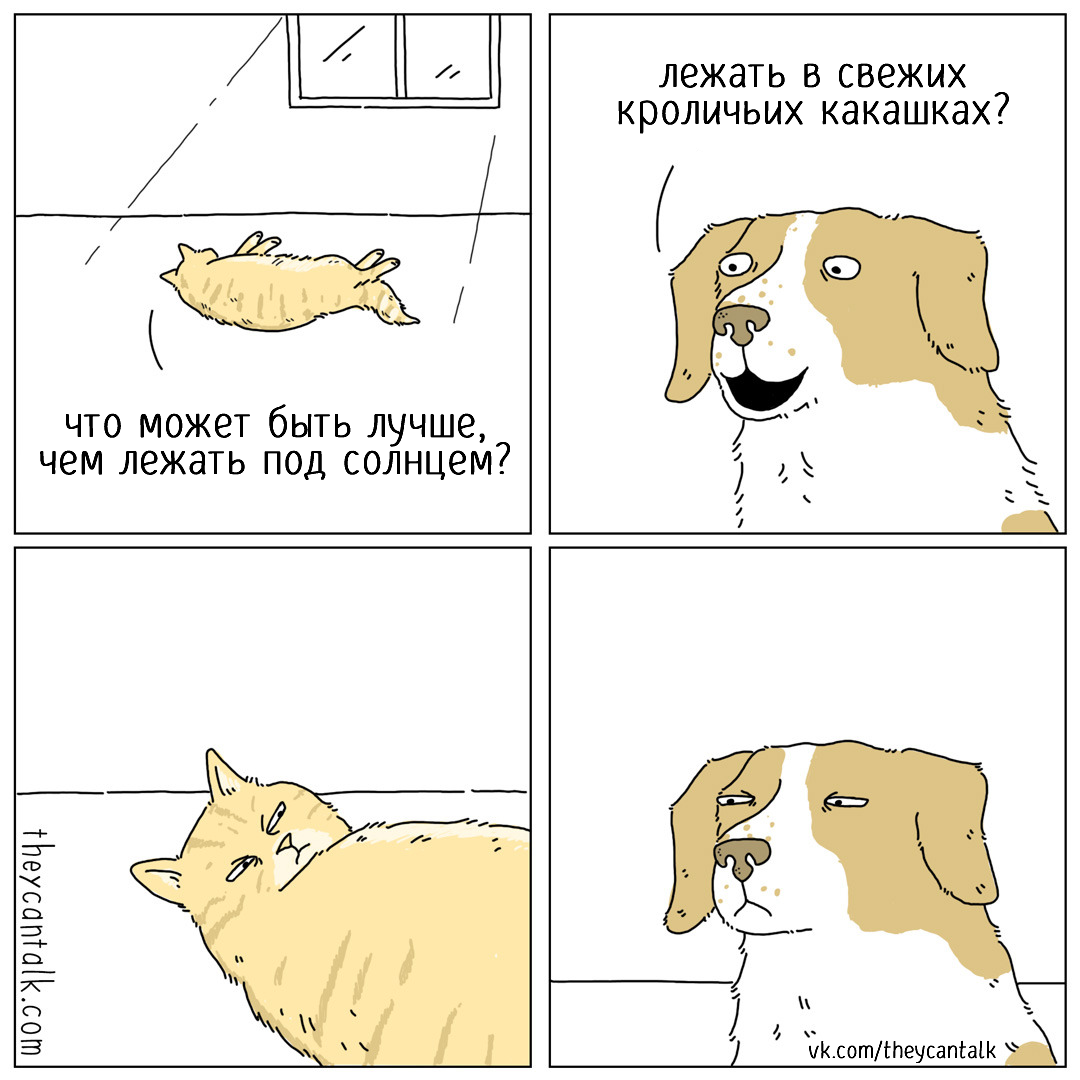 Taste and color - Translation, Web comic, Comics, cat, Dog, Cats and dogs together, Theycantalk