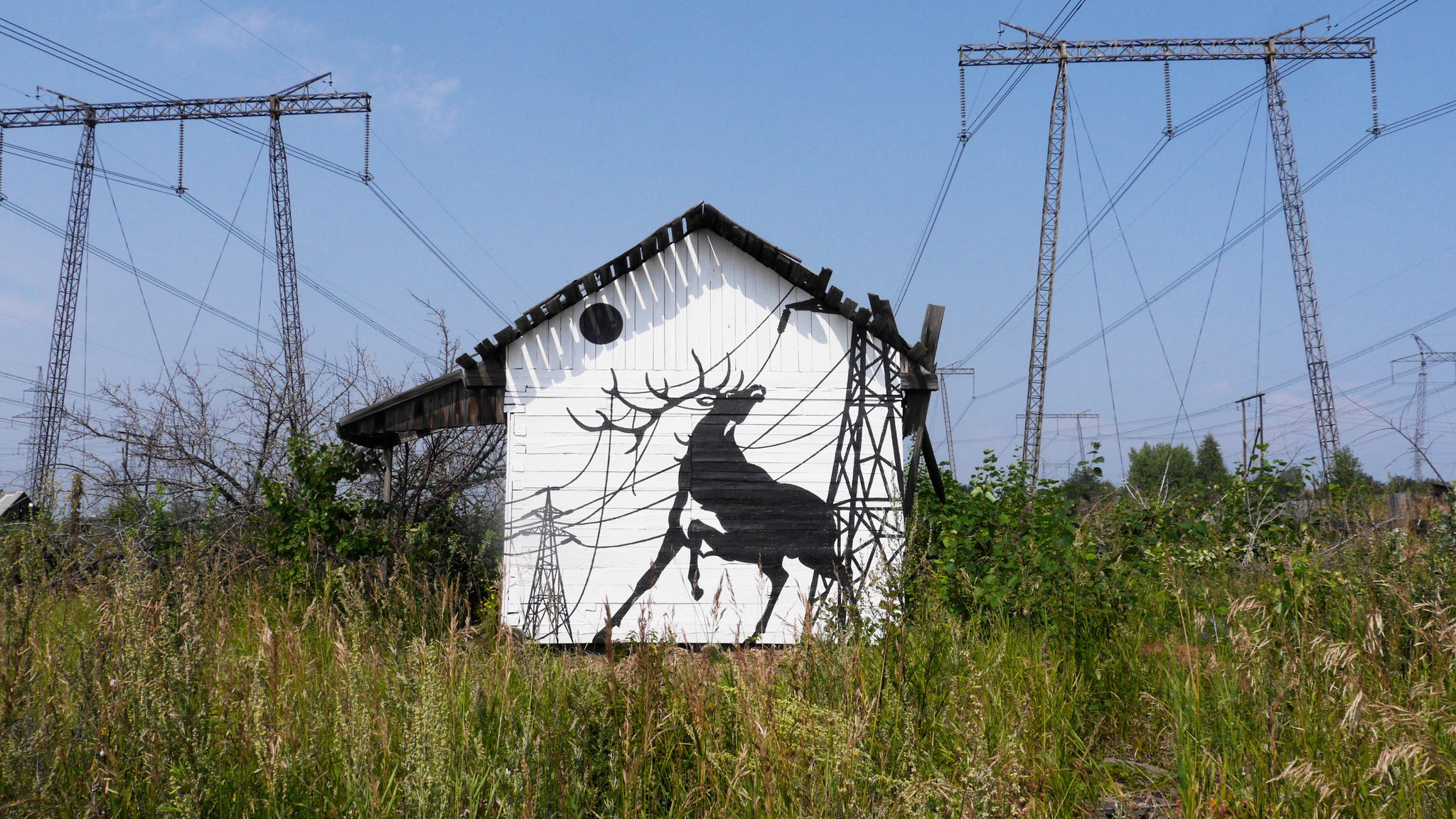 Street art in Bratsk - My, Street art, Deer, Bratsk