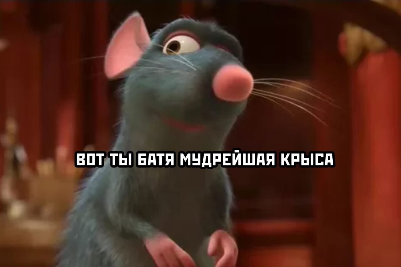 Rat - Humor, Shashlik, Rat, Longpost, Ratatouille, Picture with text